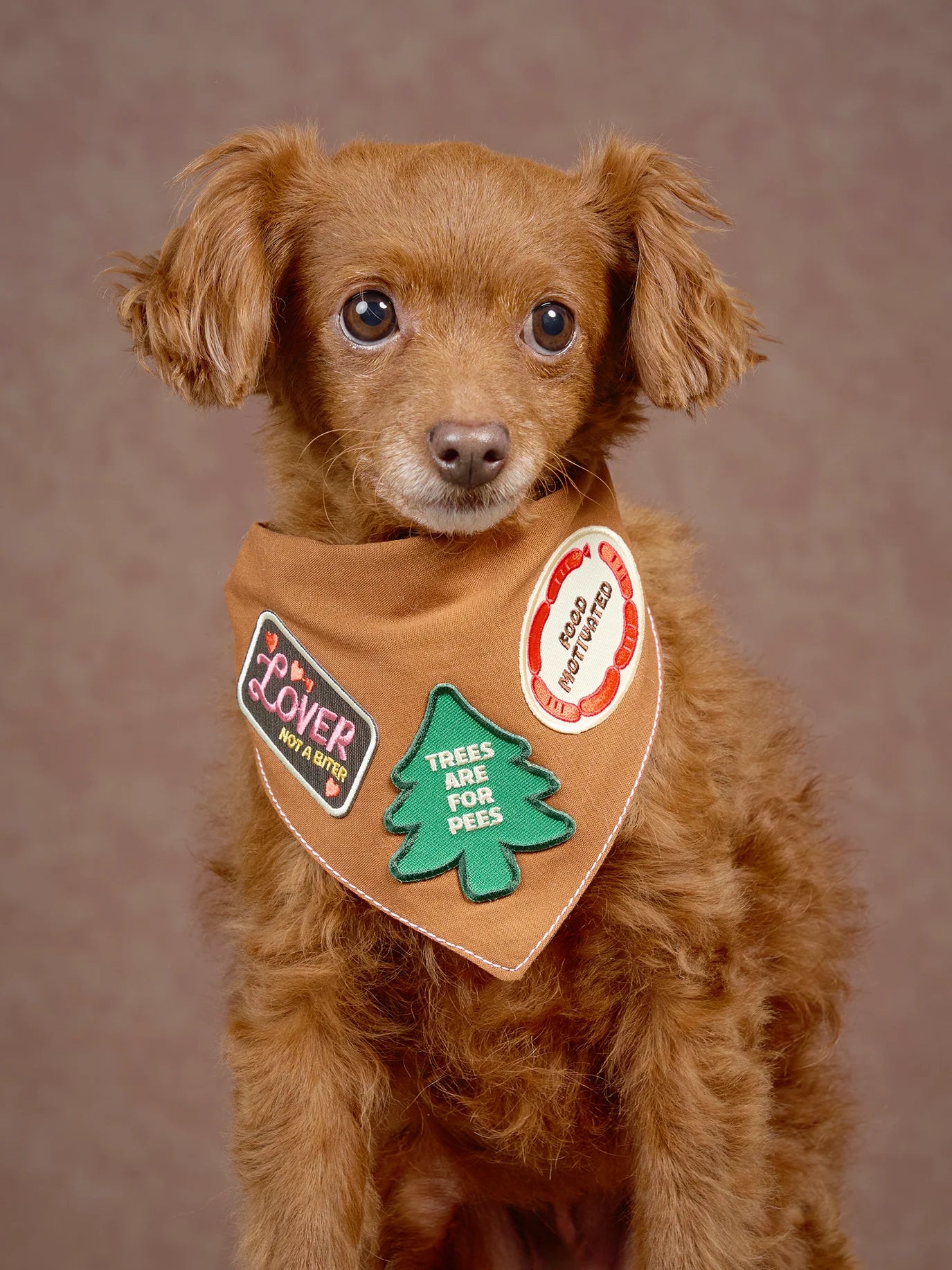 Trees Are for Pees | Patch à repasser pour animaux de compagnie