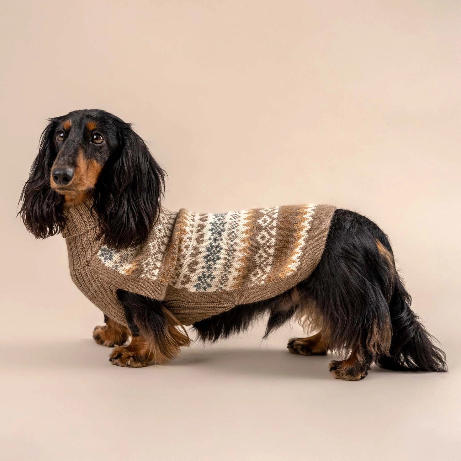 Pull pour chien en alpaga Automne