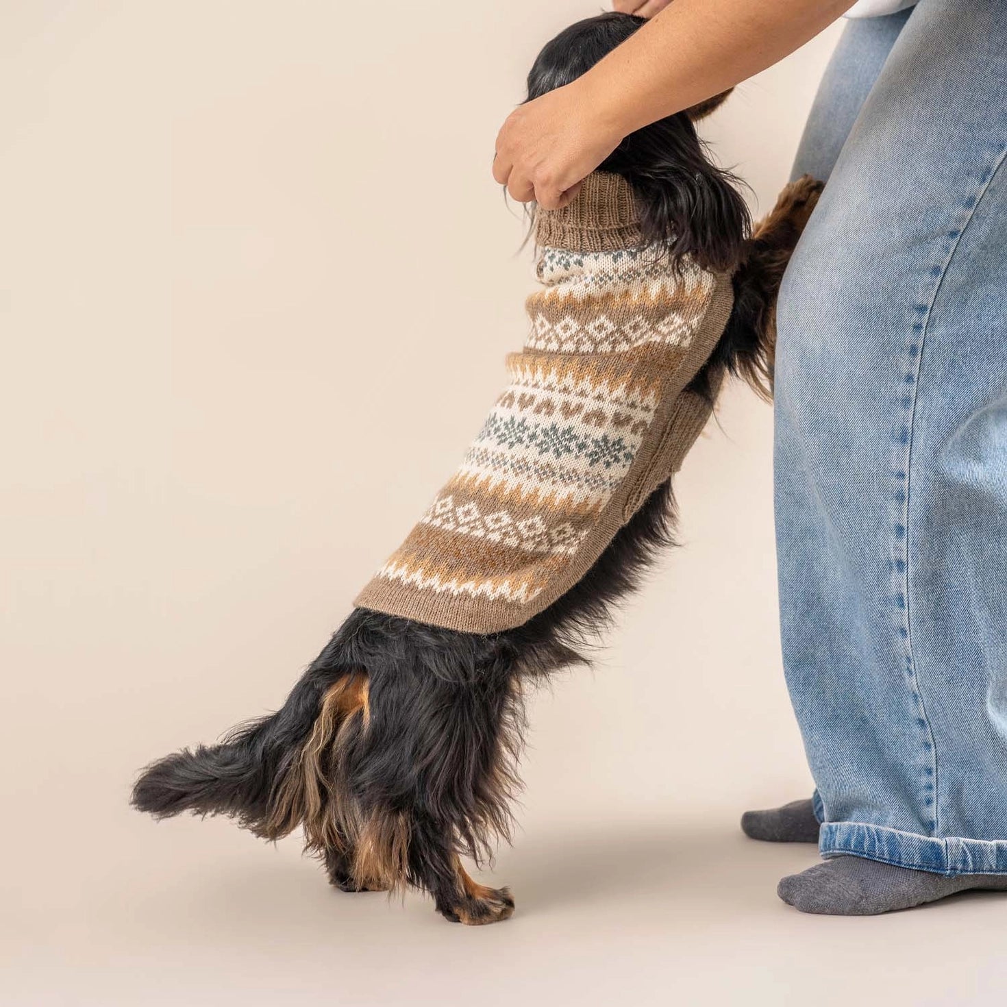 Pull pour chien en alpaga Automne