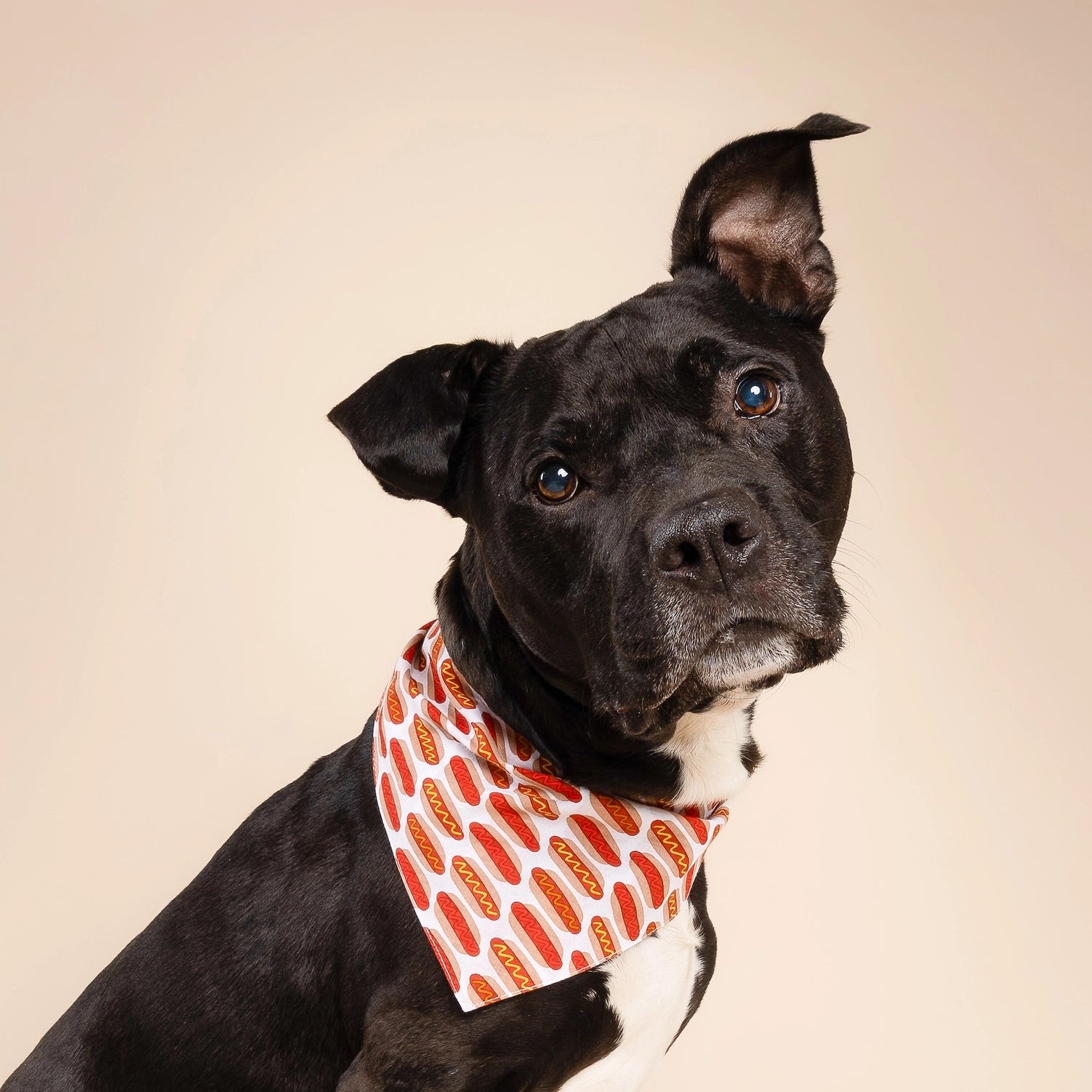 Bandana motif hot dog
