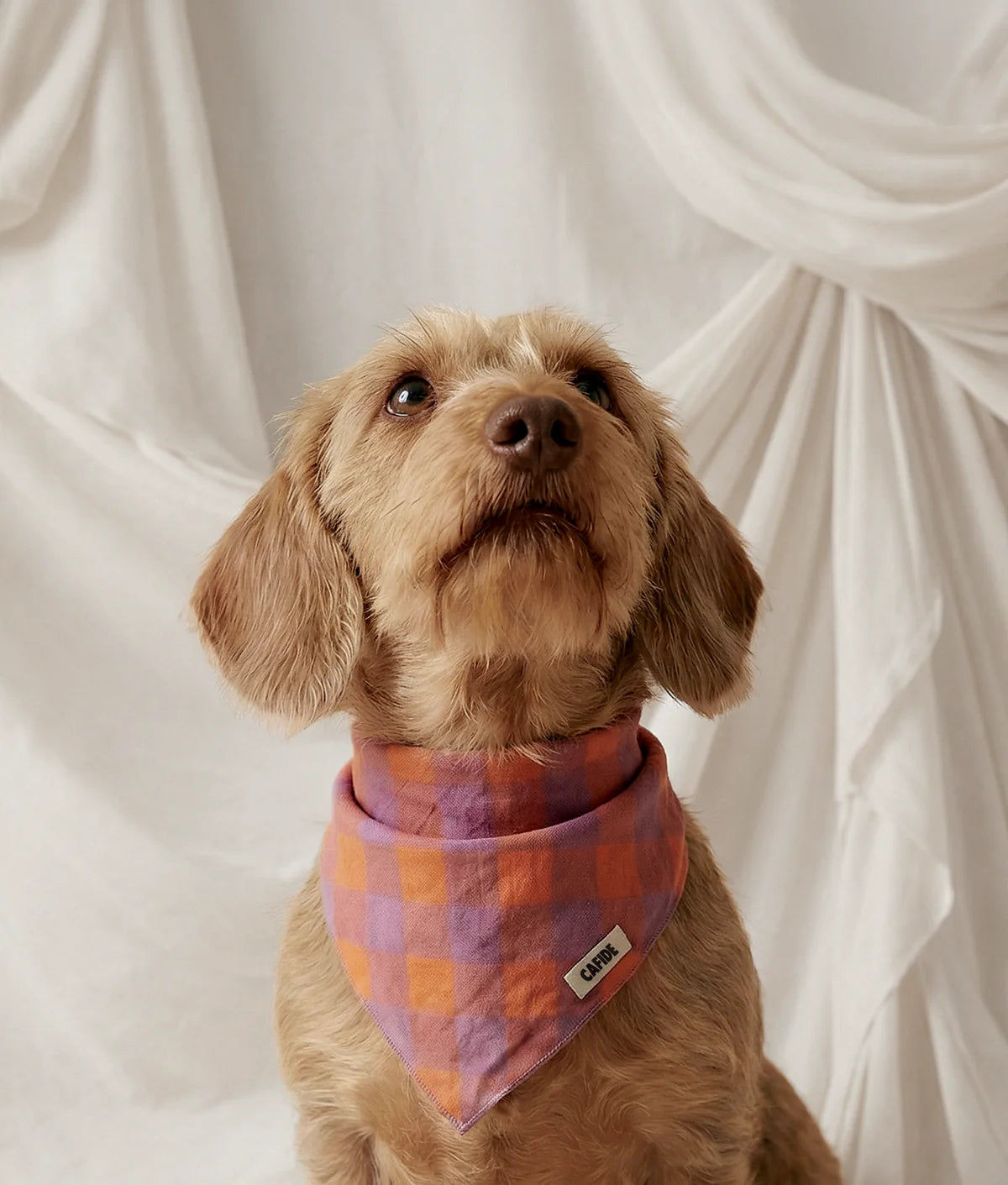 Bandana Nata vichy violet