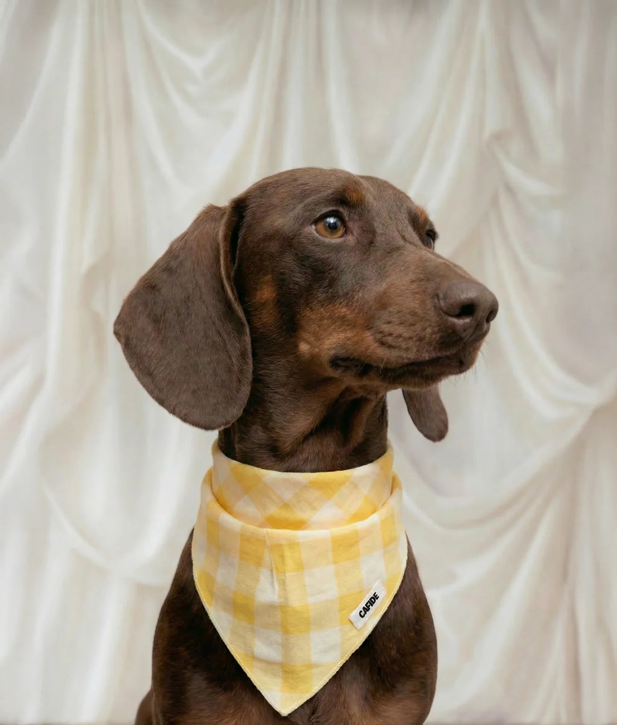 Bandana Nata vichy jaune