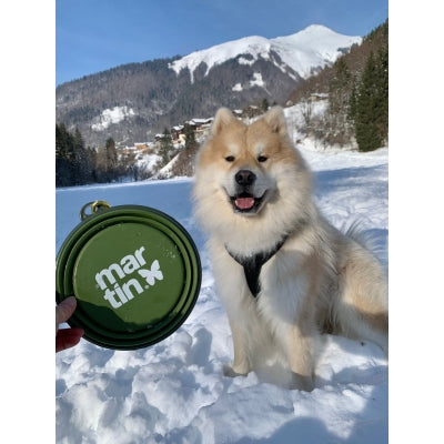 Gamelle de voyage pliable en silicone 350ml