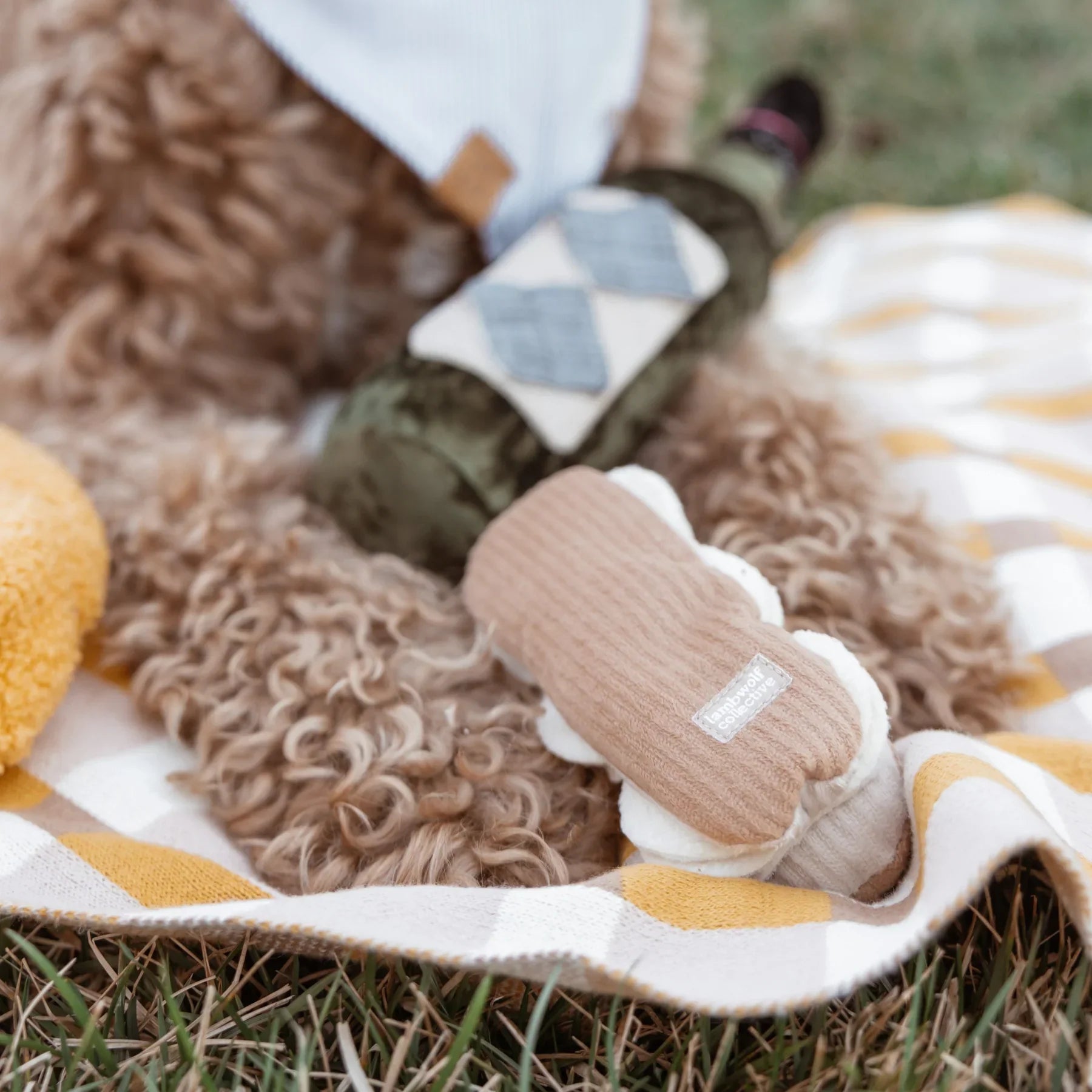 Jouet de fouille éclair au chocolat