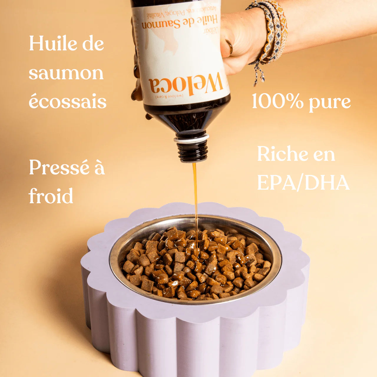 Huile de saumon pour chien et chat