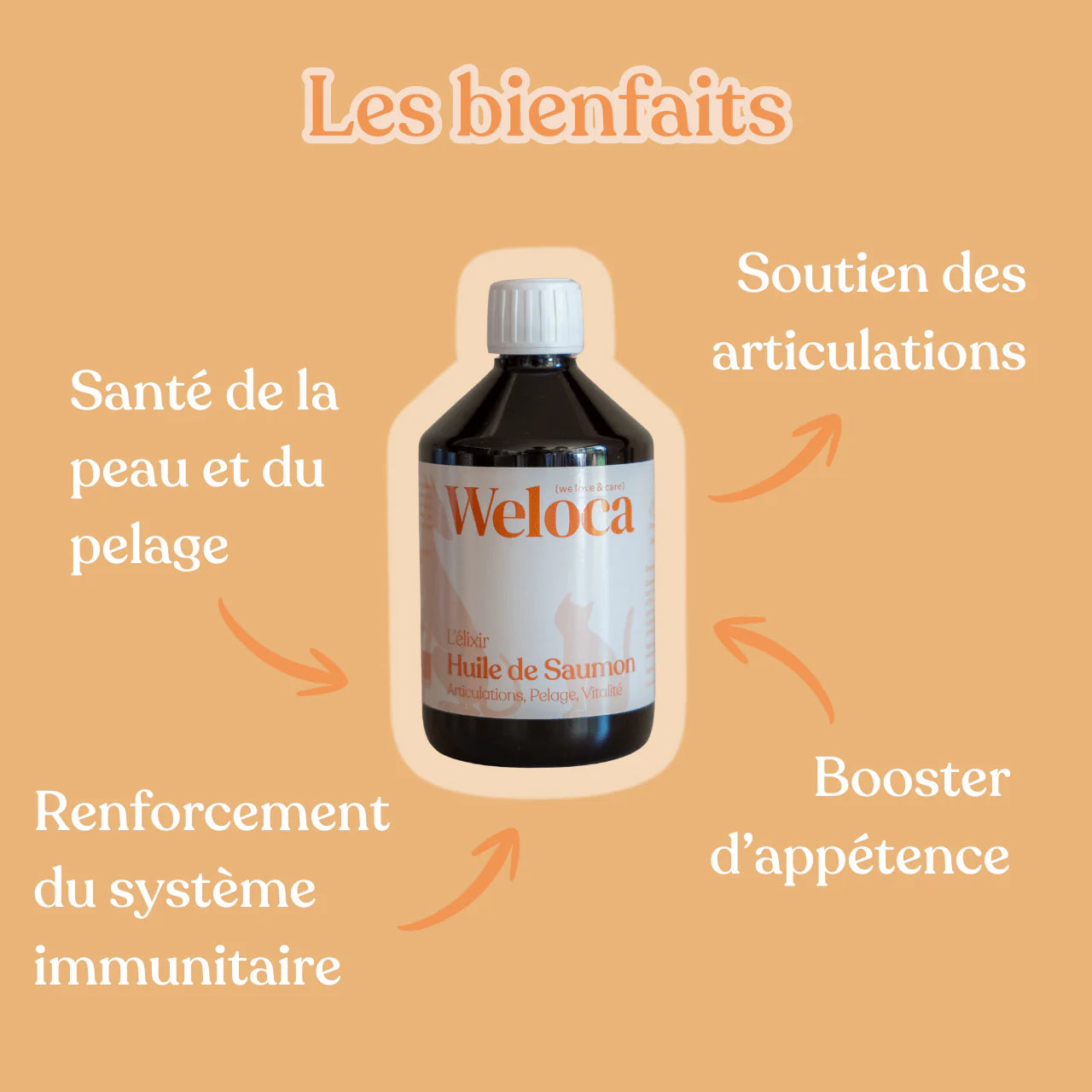 Huile de saumon pour chien et chat