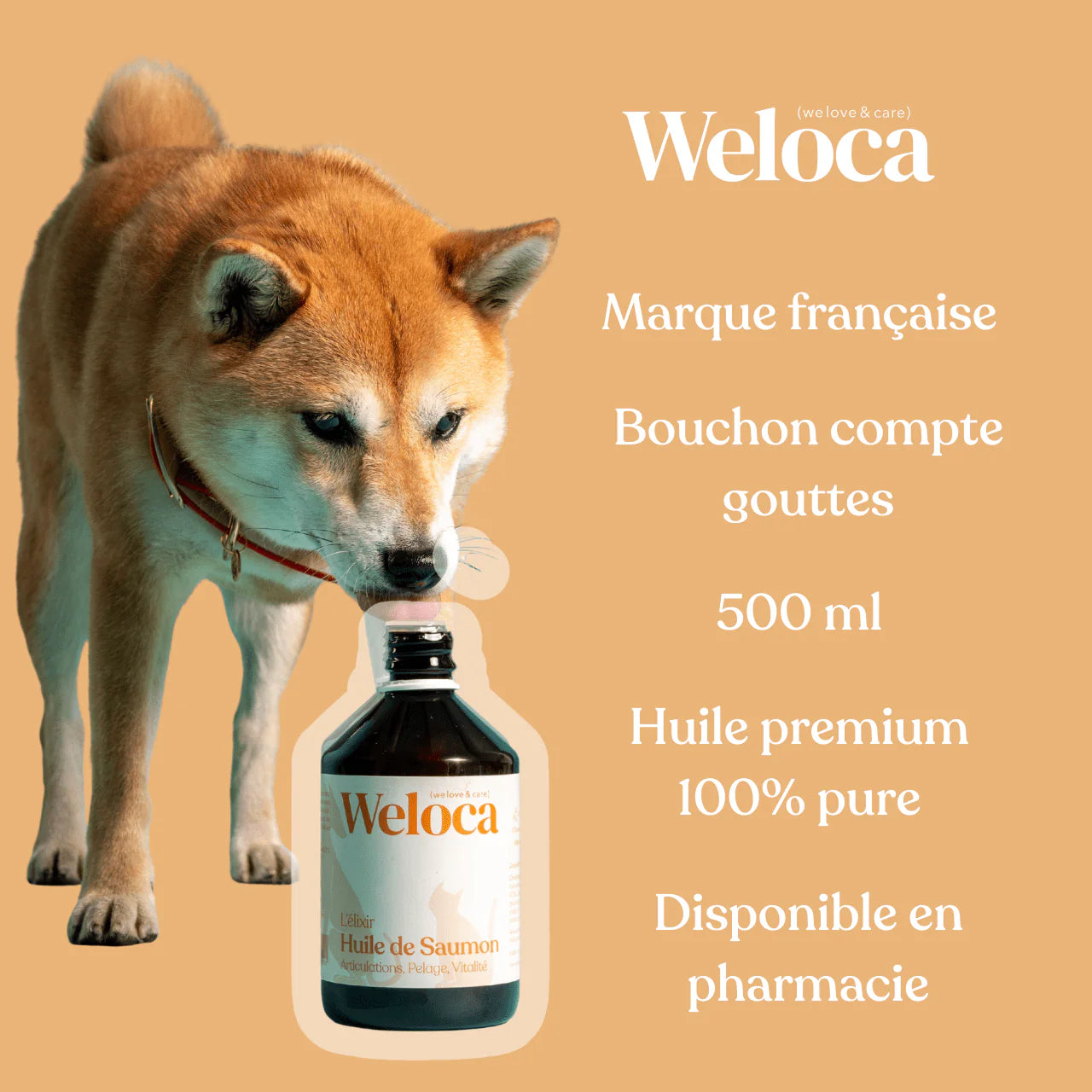 Huile de saumon pour chien et chat