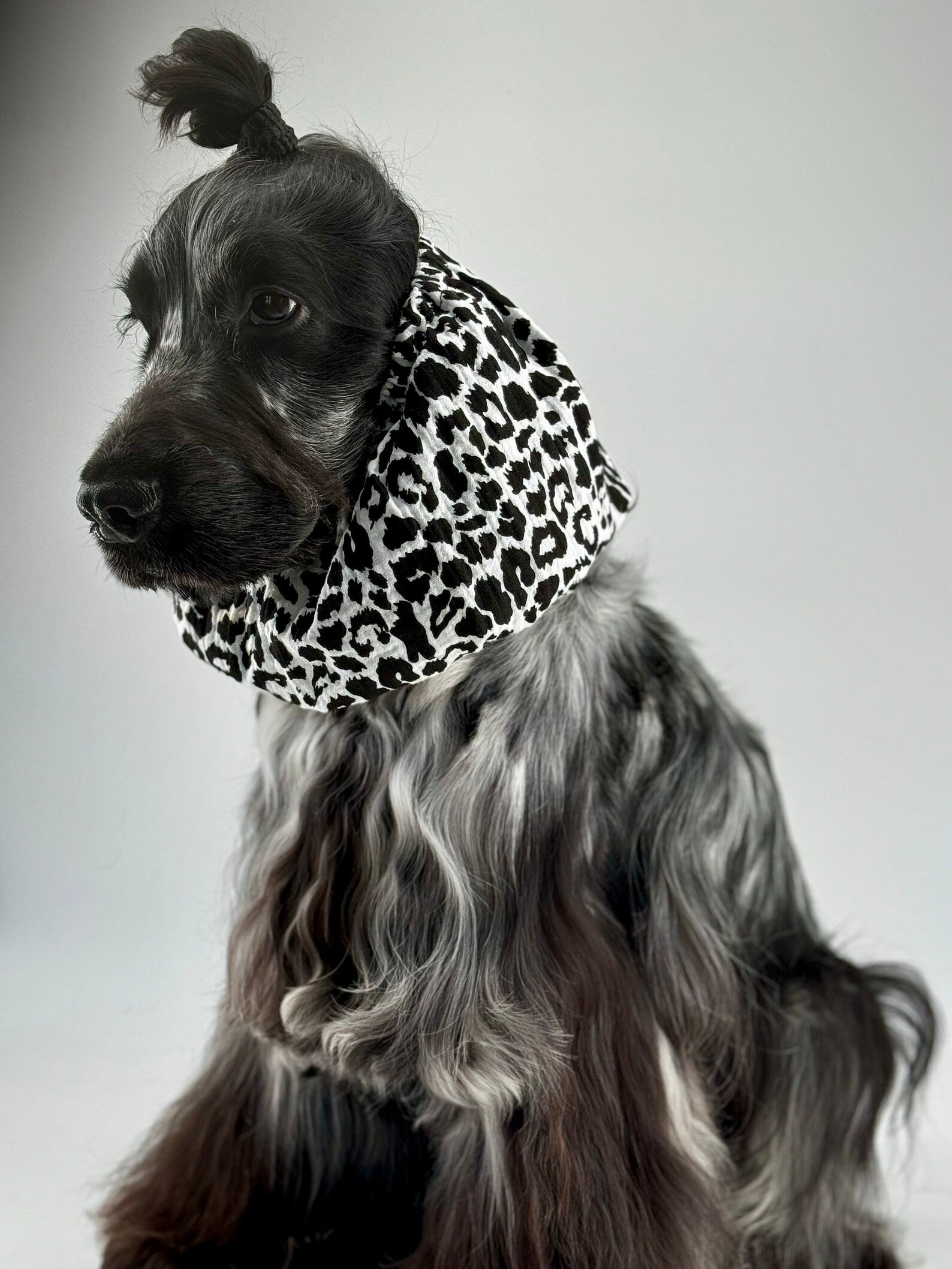 Snood en gaze de coton Léopard