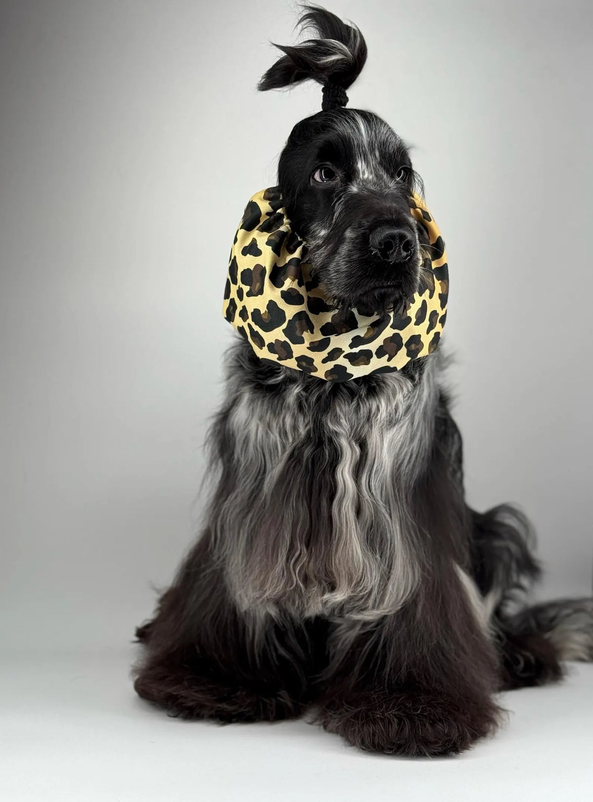 Snood imperméable Léopard