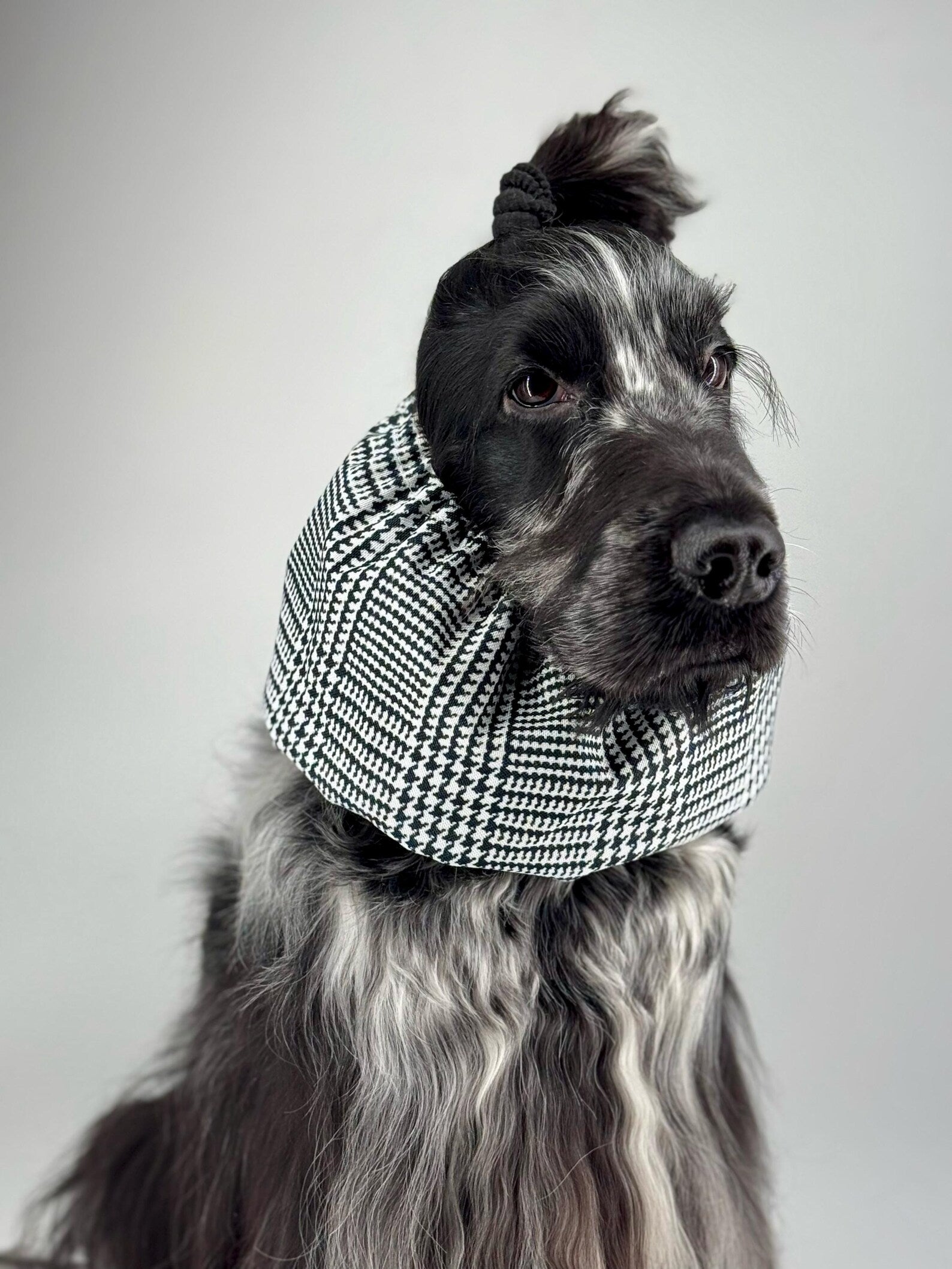 Snood imperméable Prince de Galle