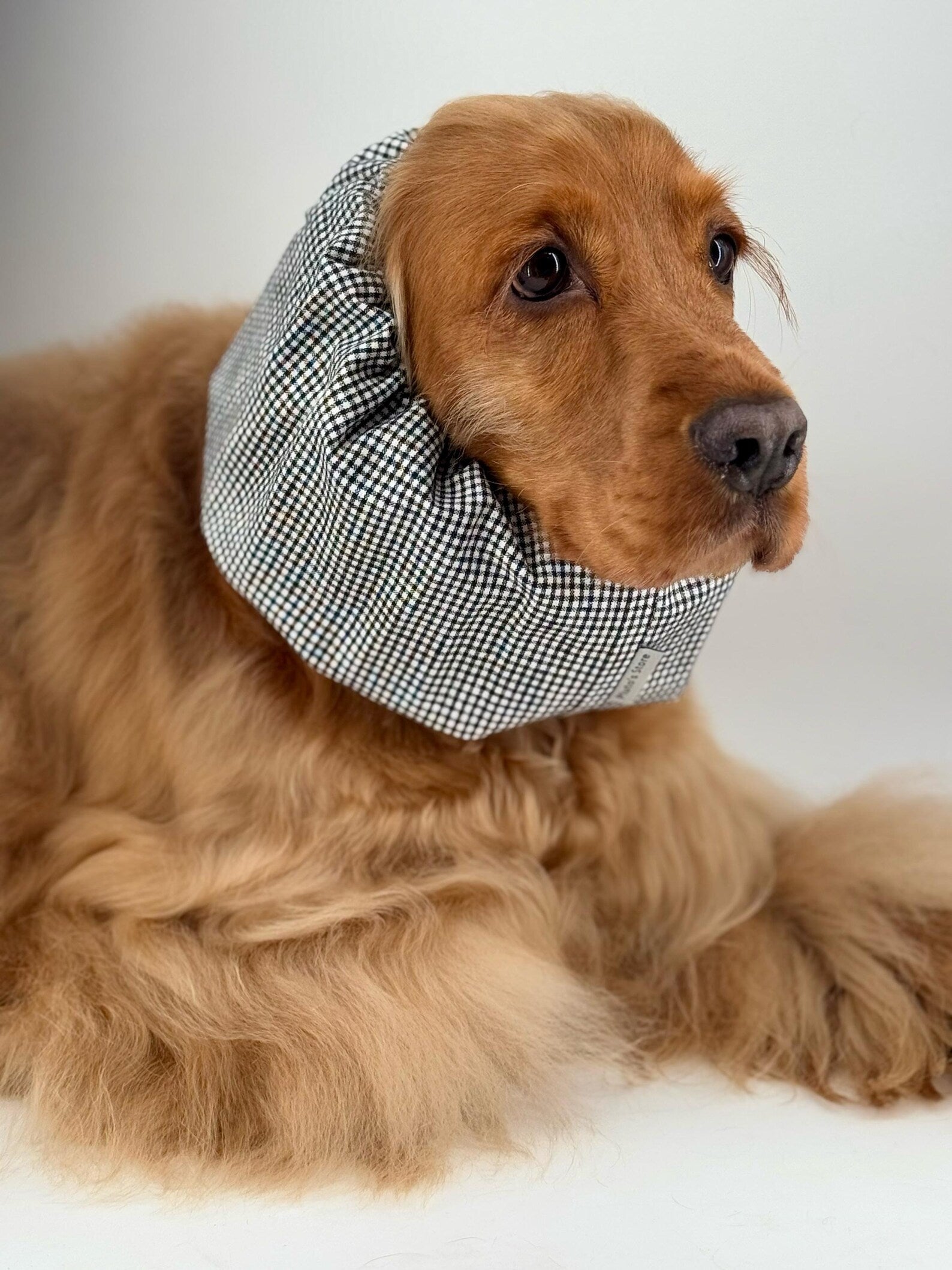 Snood en coton à petits carreaux
