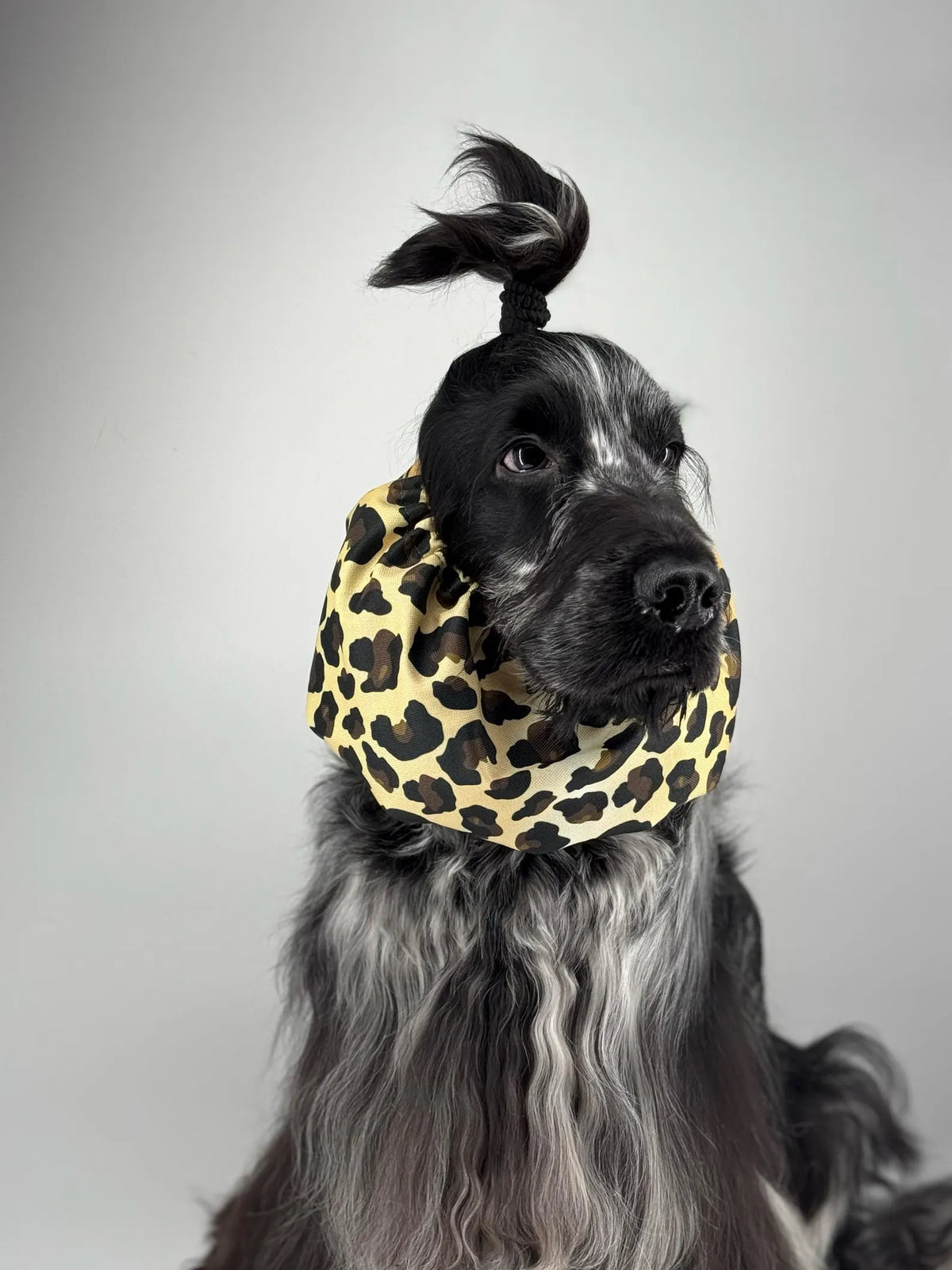 Snood imperméable Léopard
