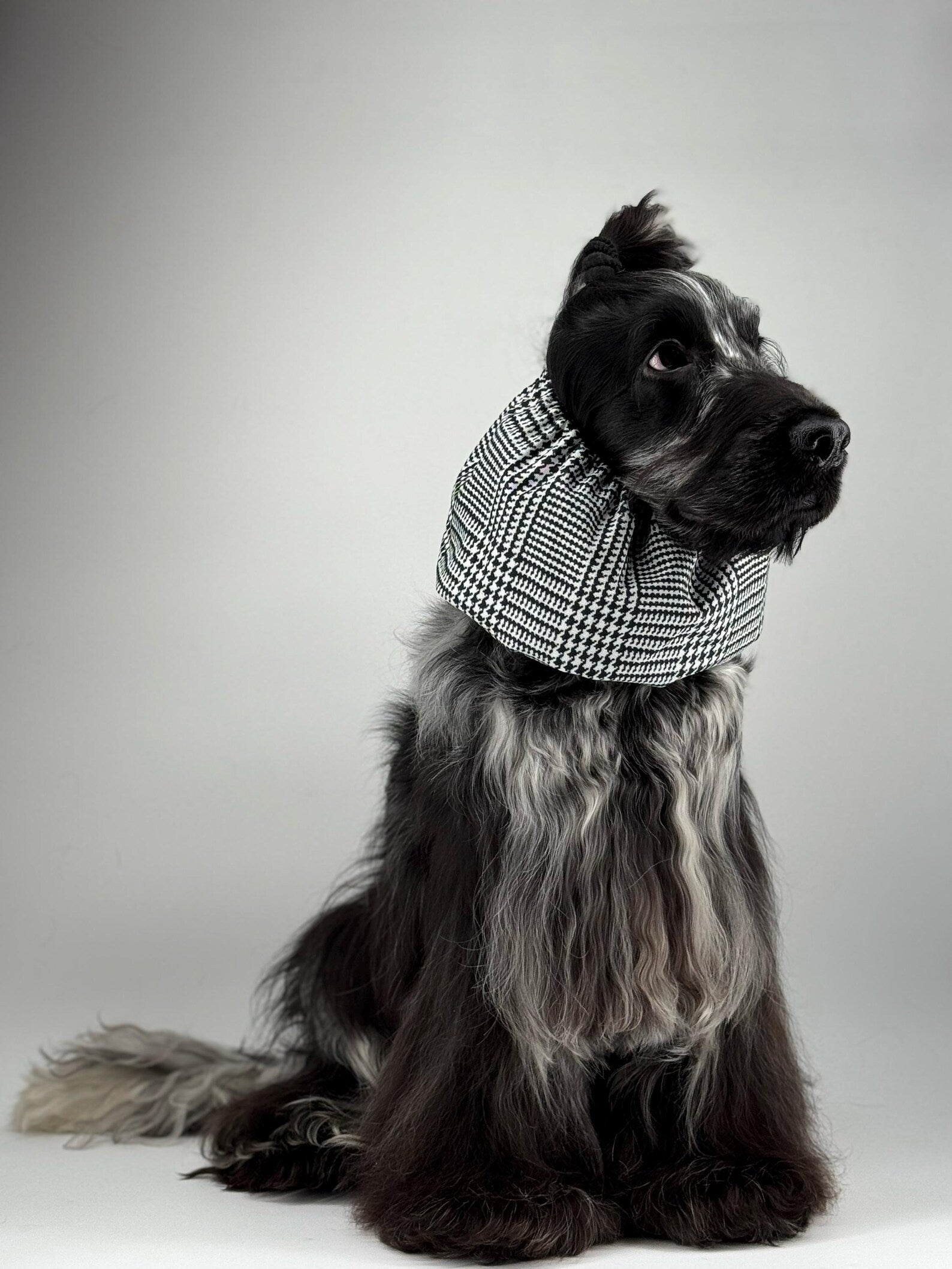 Snood imperméable Prince de Galle