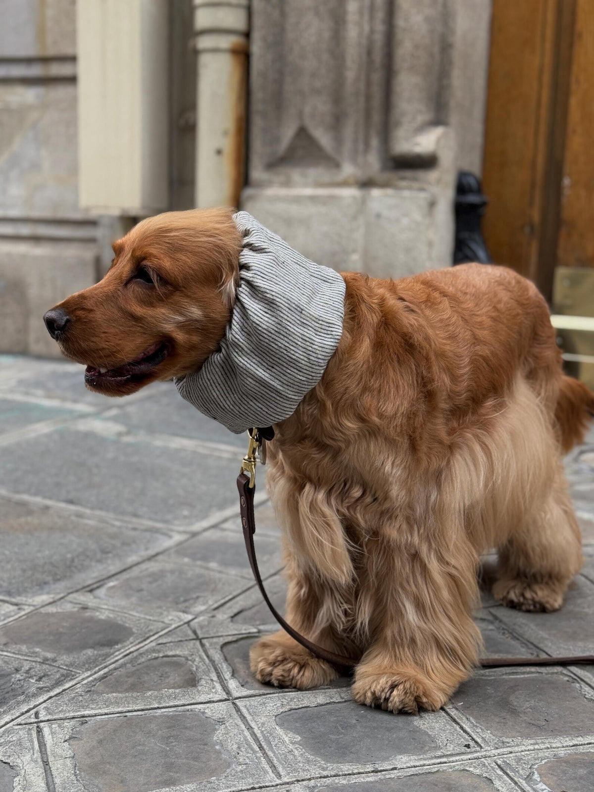 Snood beige à rayures bleues en lin