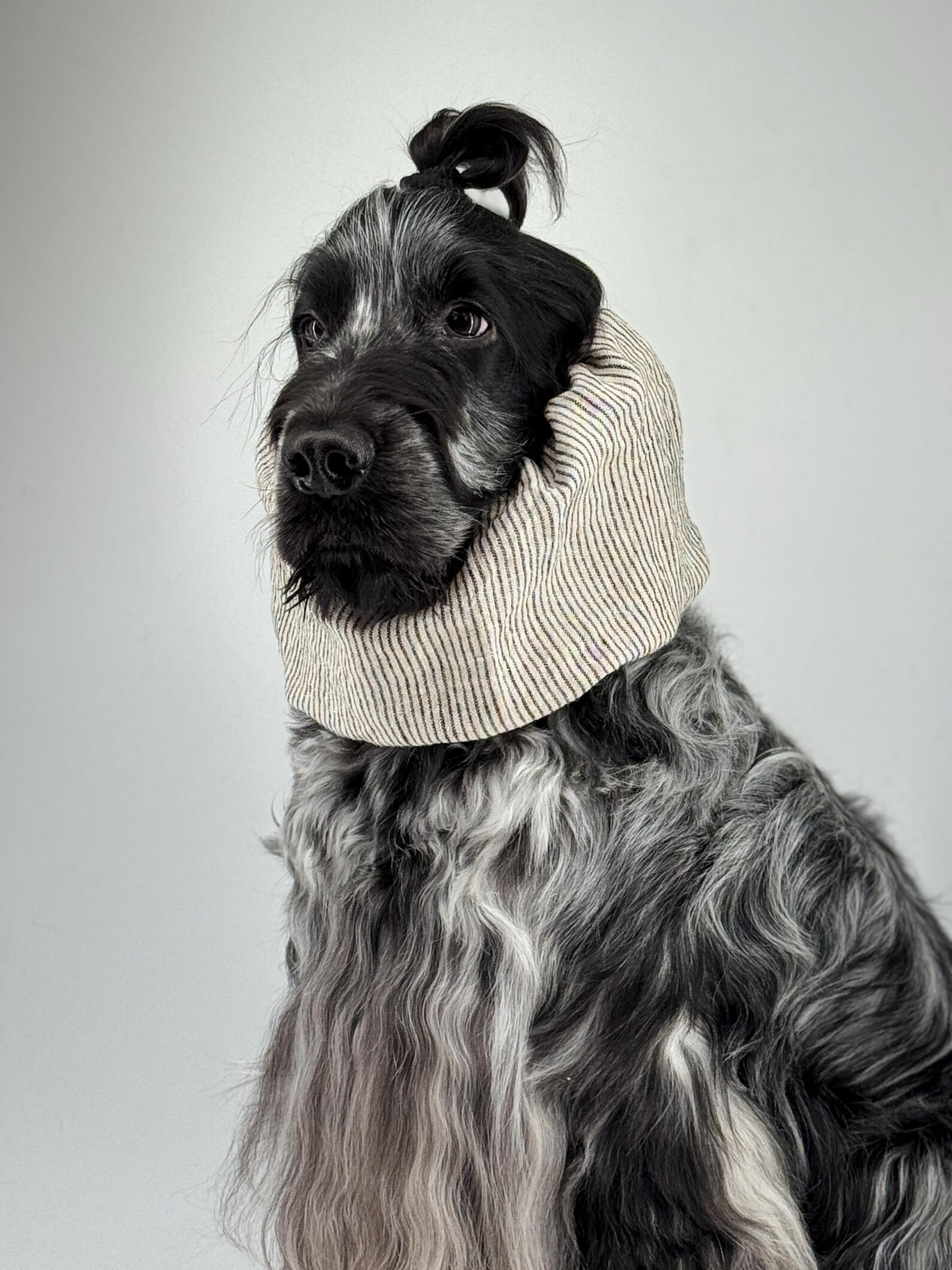 Snood beige à rayures bleues en lin