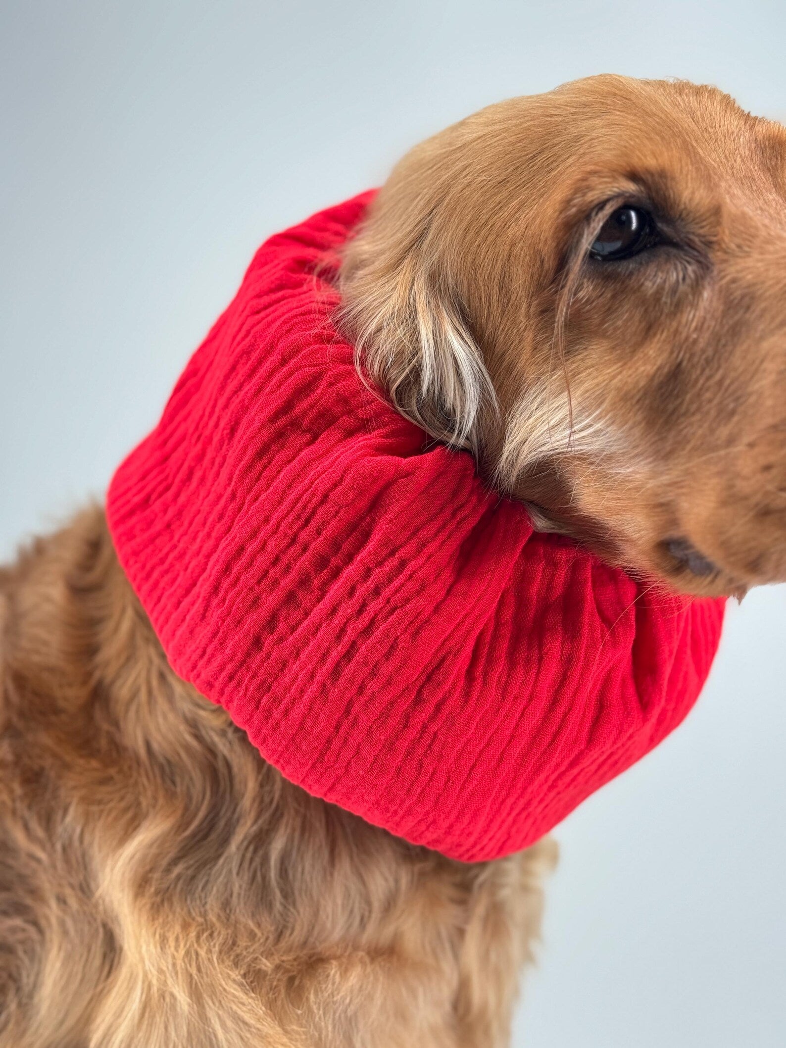 Snood en gaze de coton Rouge