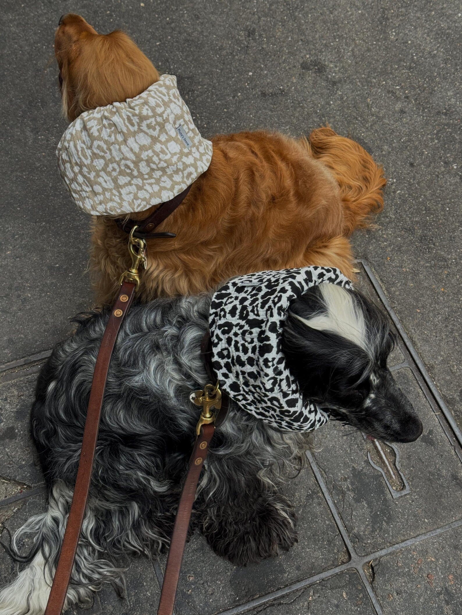 Snood en gaze de coton Léopard