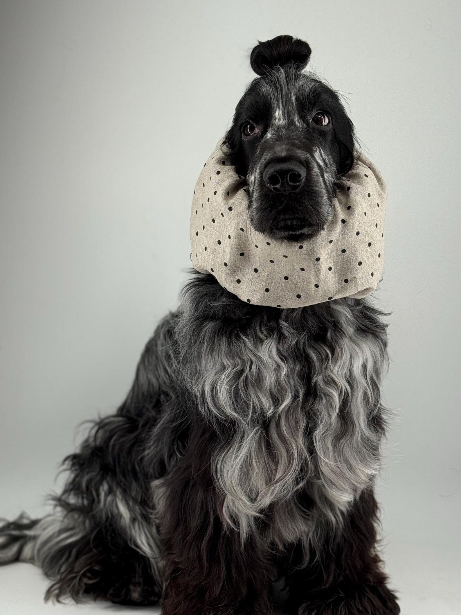 Snood à pois en lin