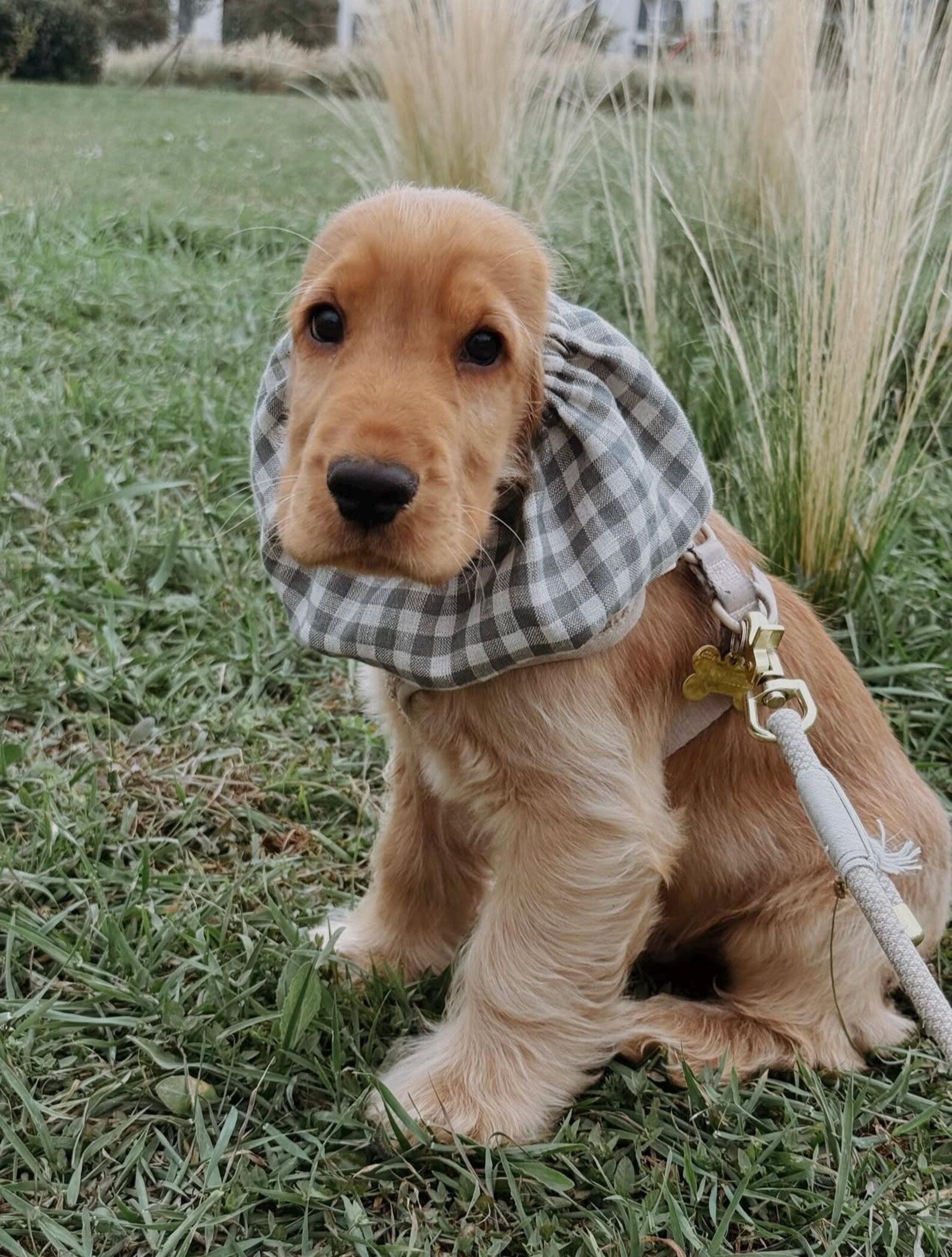 Snood en lin vichy vert