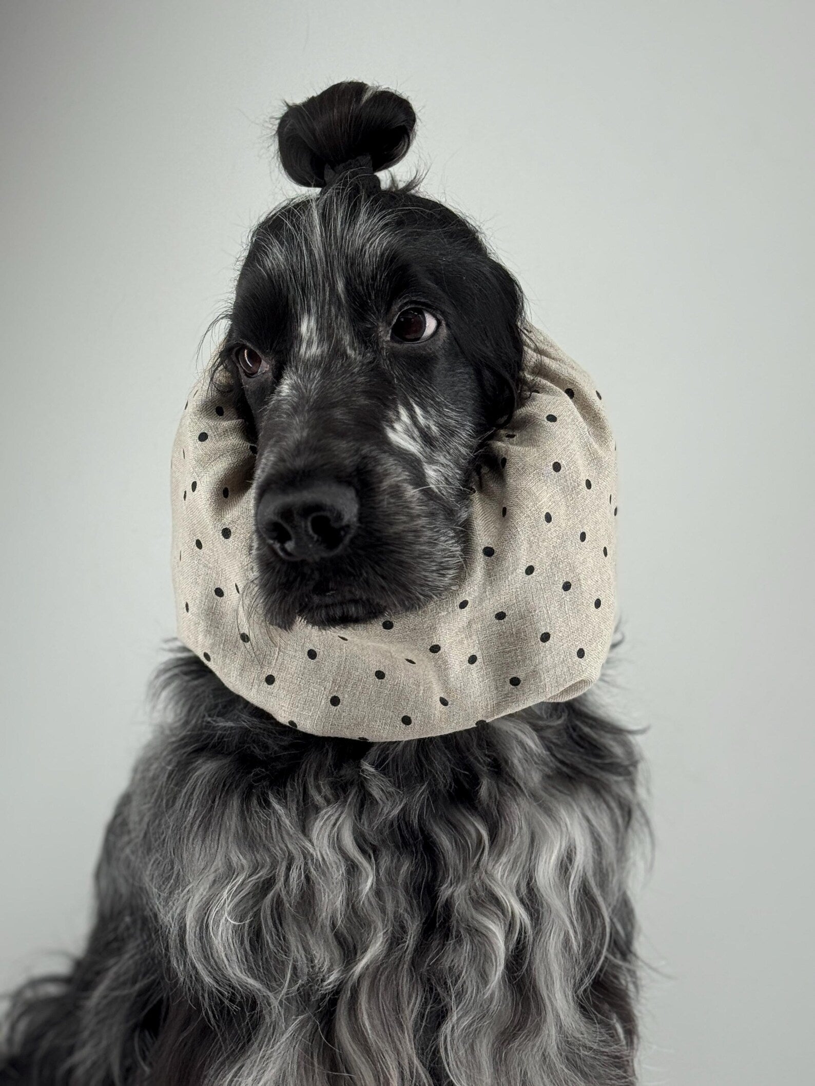 Snood à pois en lin