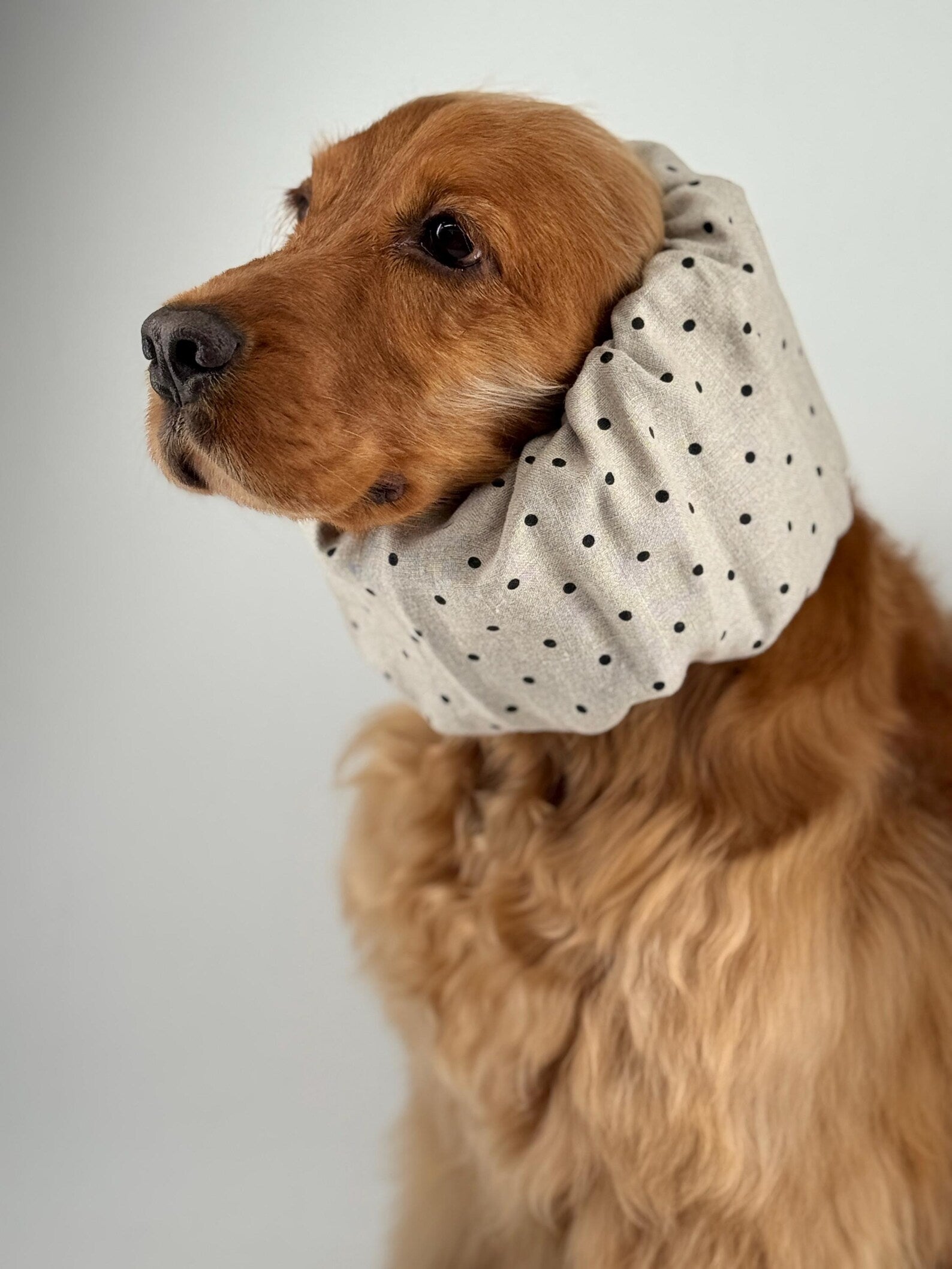 Snood à pois en lin