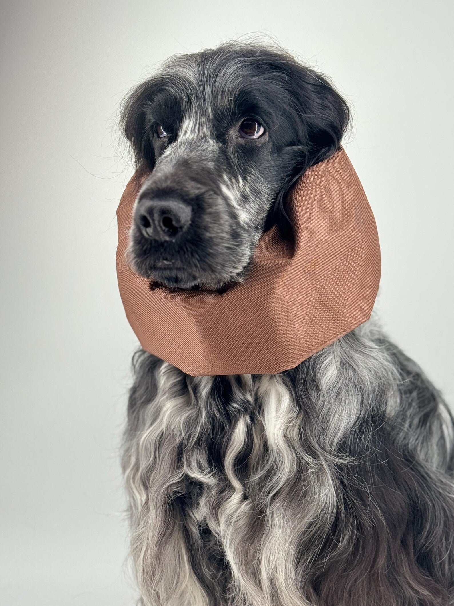 Snood imperméable Chocolat