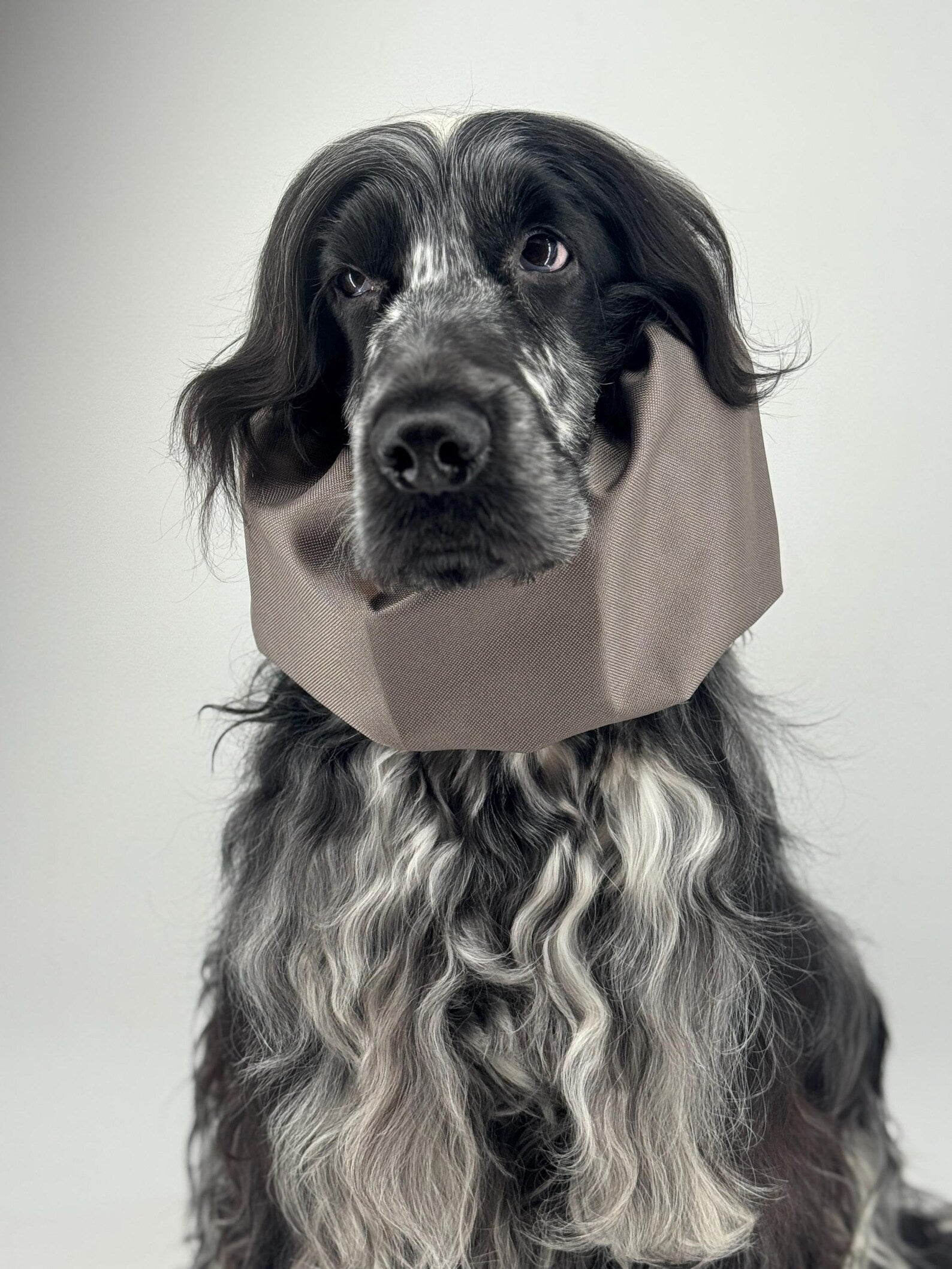 Snood imperméable Taupe