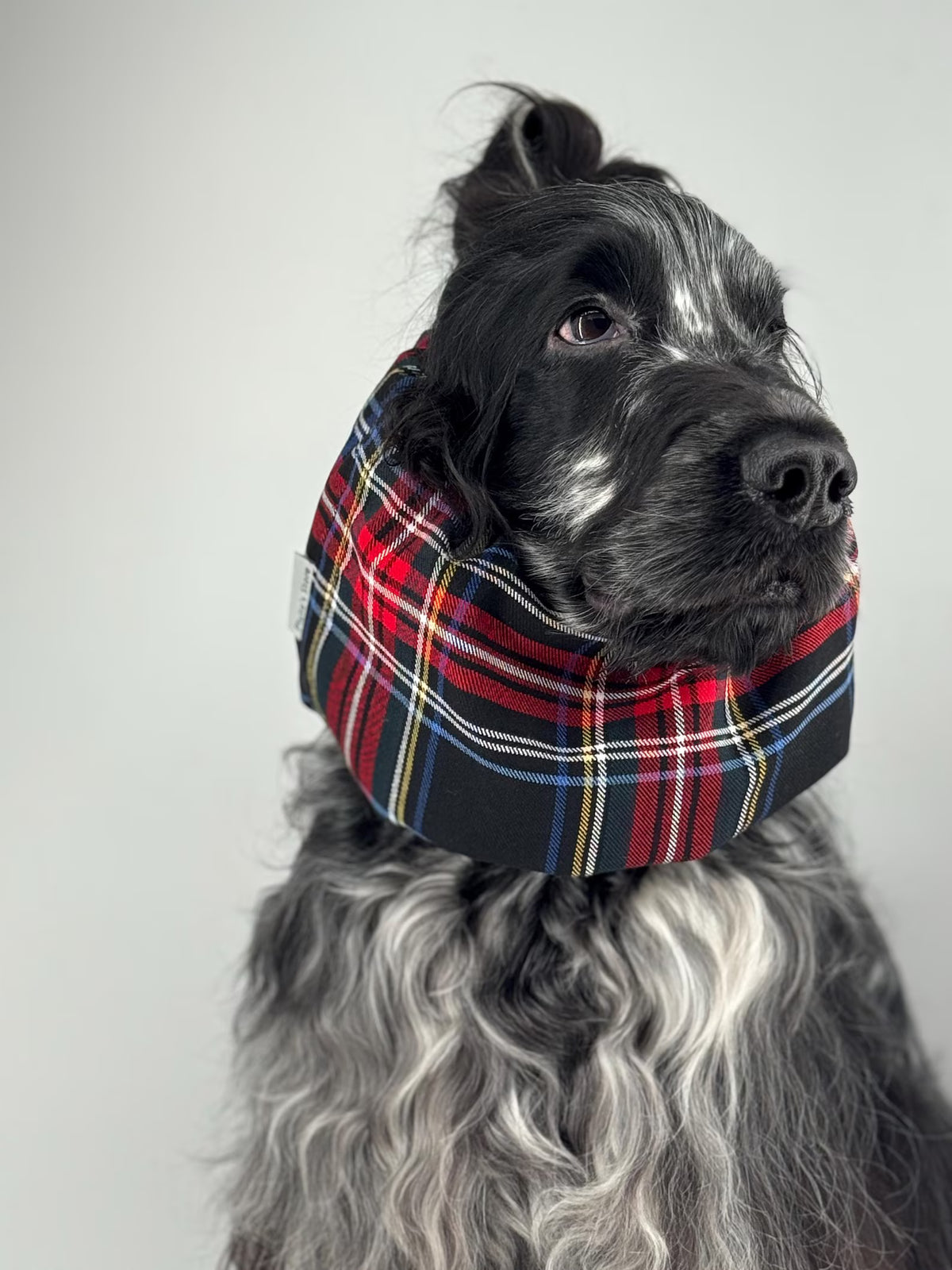 Snood flanelle tartan
