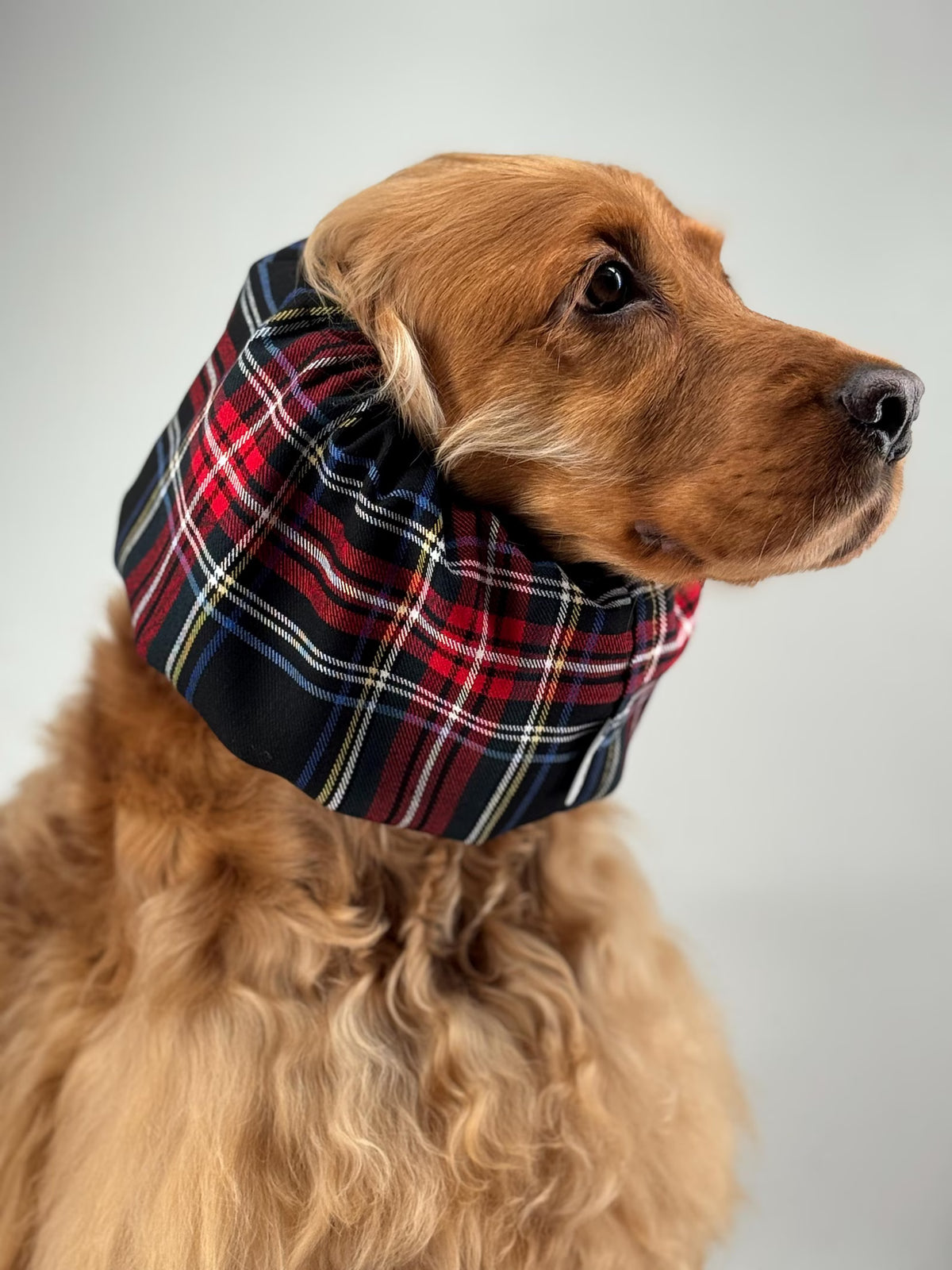 Snood flanelle tartan