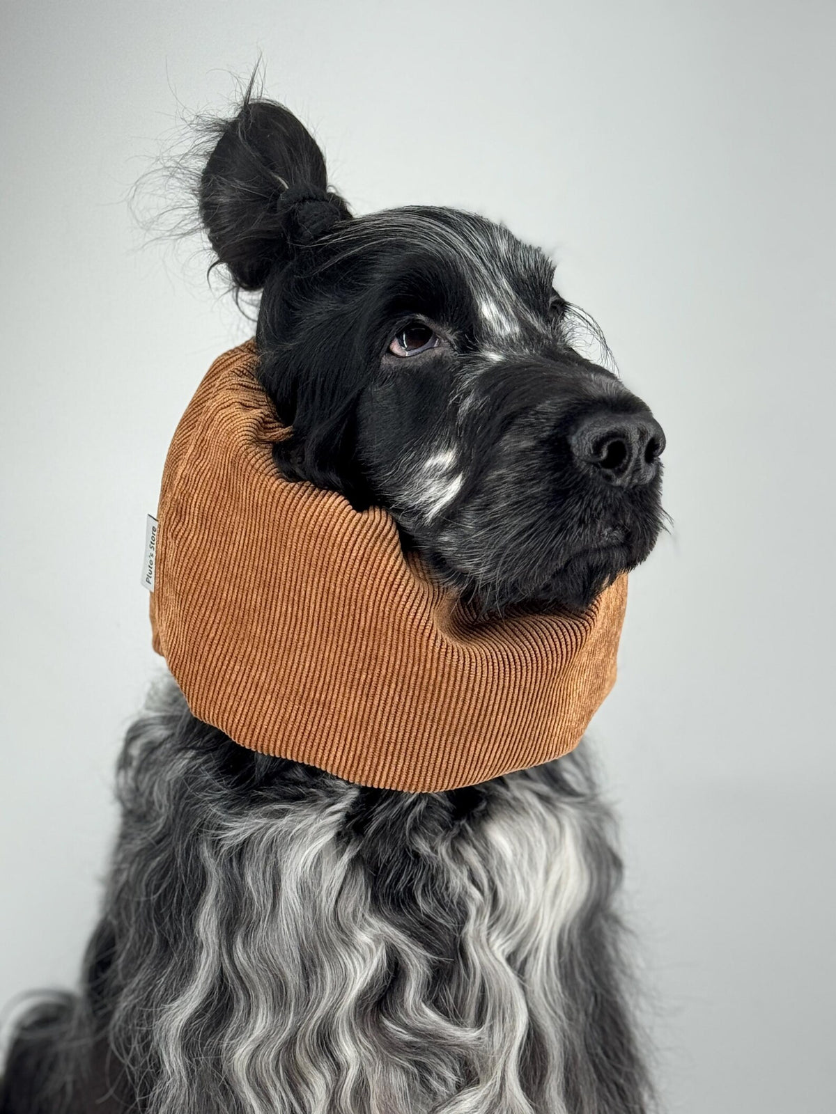 Snood velours côtelé Miel