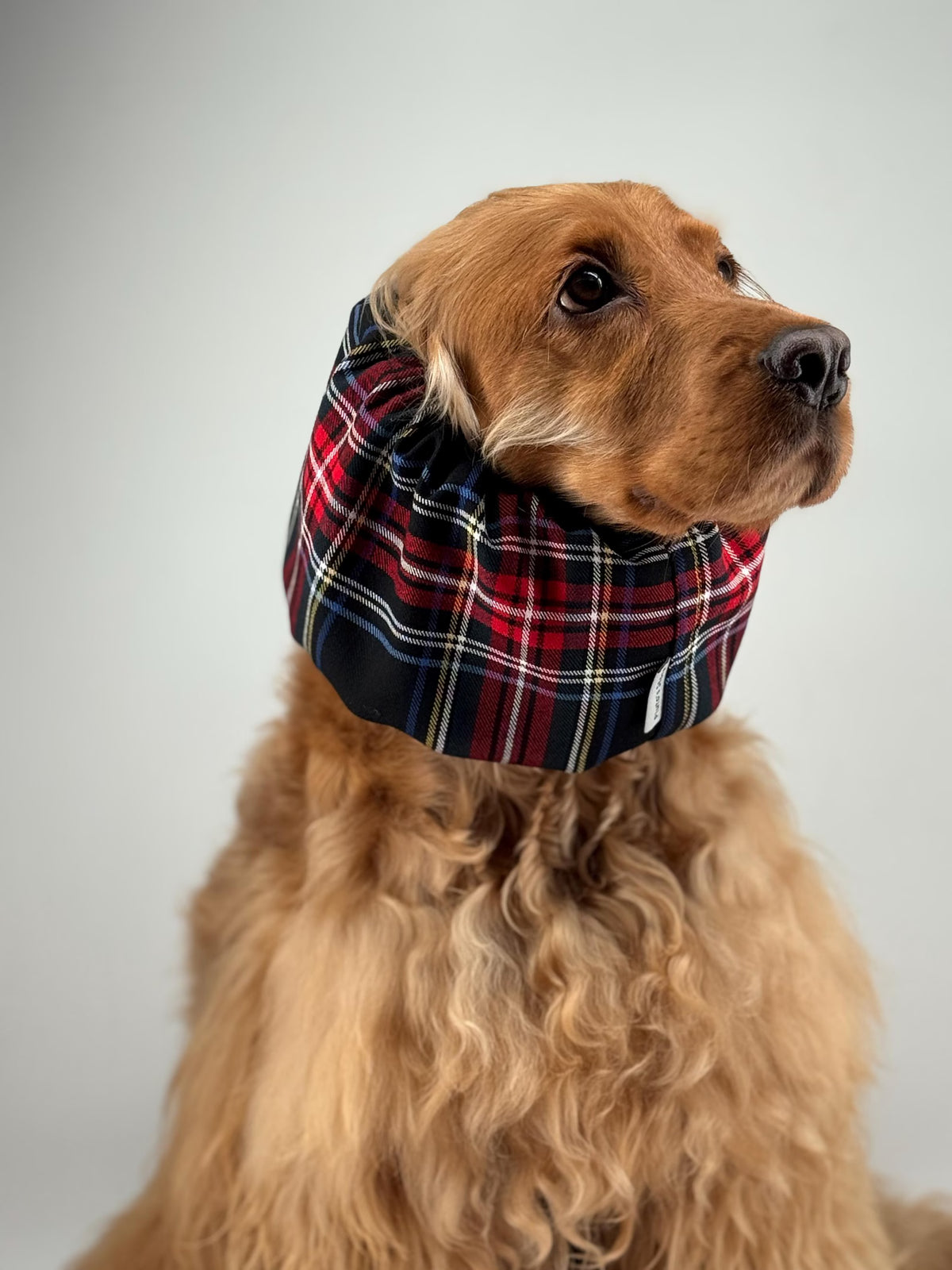 Snood flanelle tartan