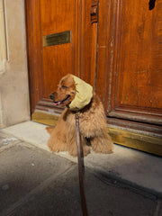 Snood vichy jaune en lin