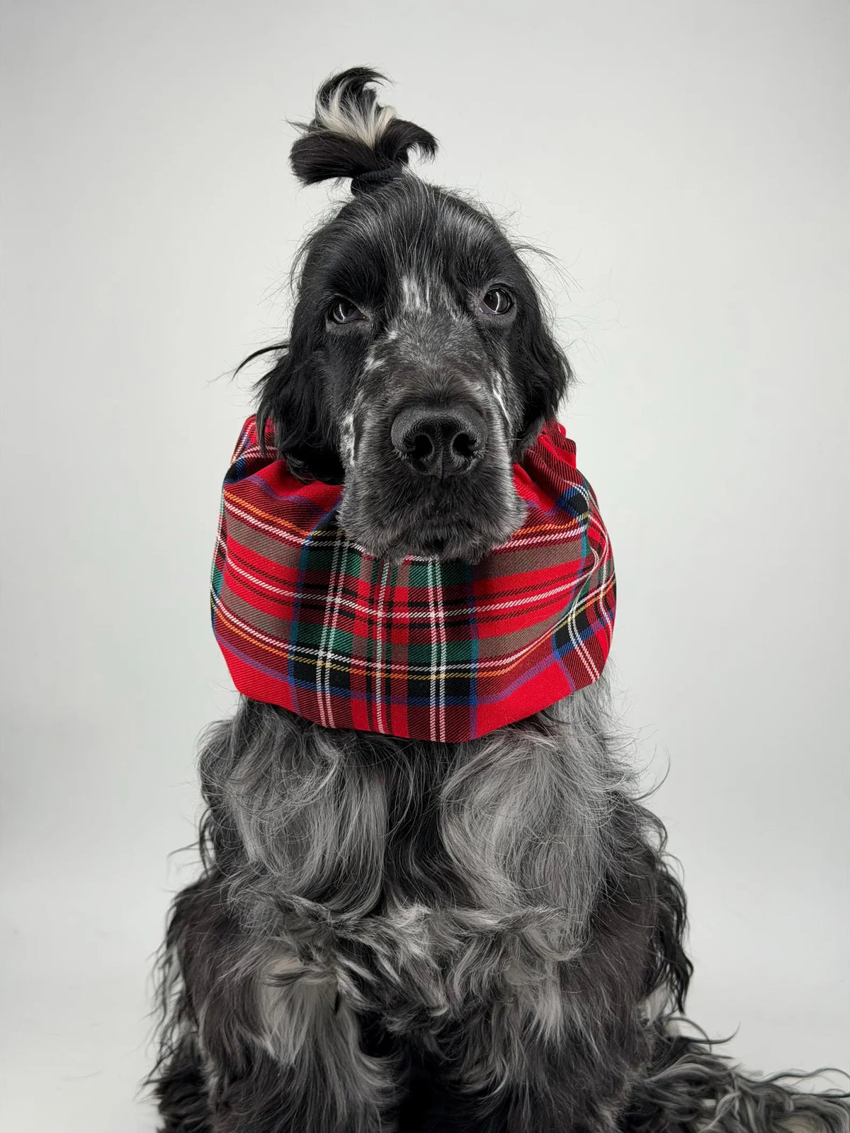 Snood flanelle tartan