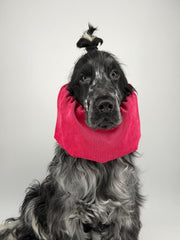 Snood velours côtelé Rouge Framboise