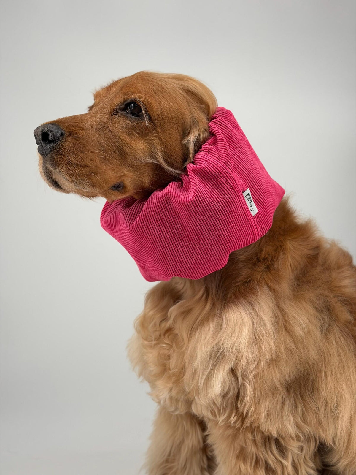 Snood velours côtelé Rouge Framboise