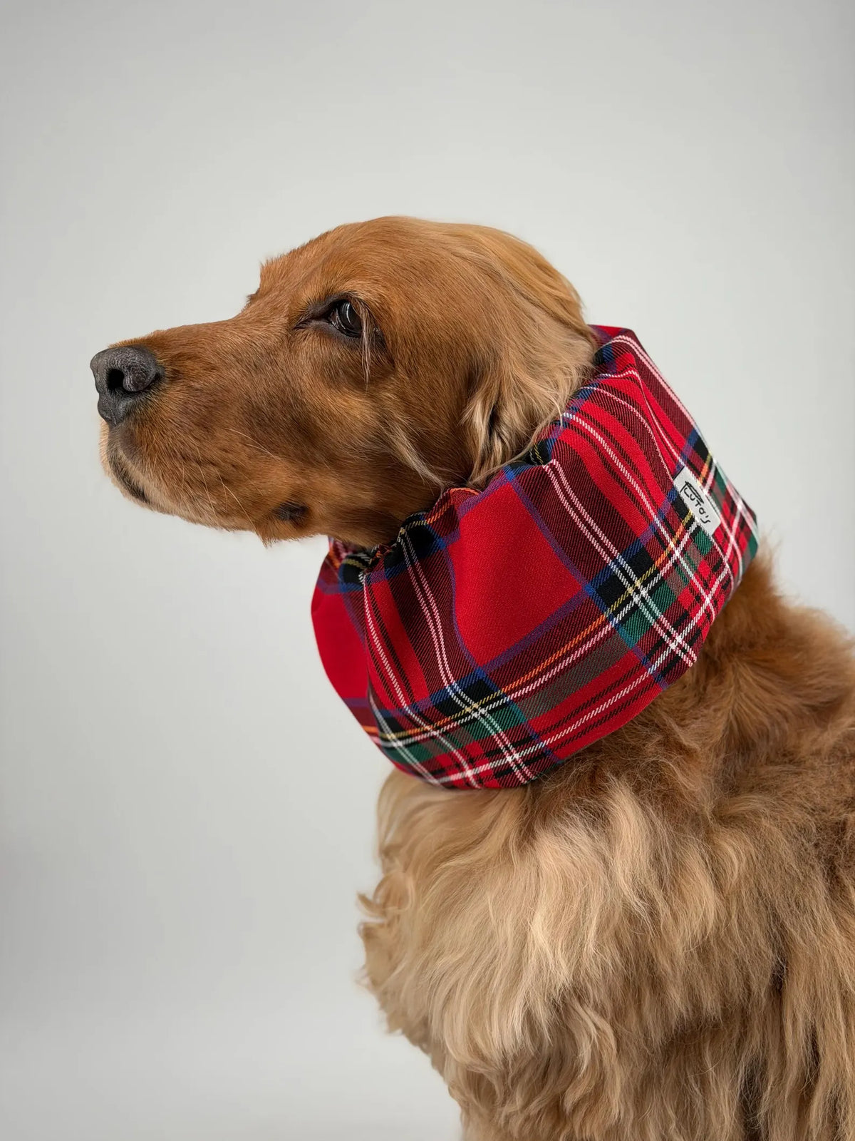 Snood flanelle tartan