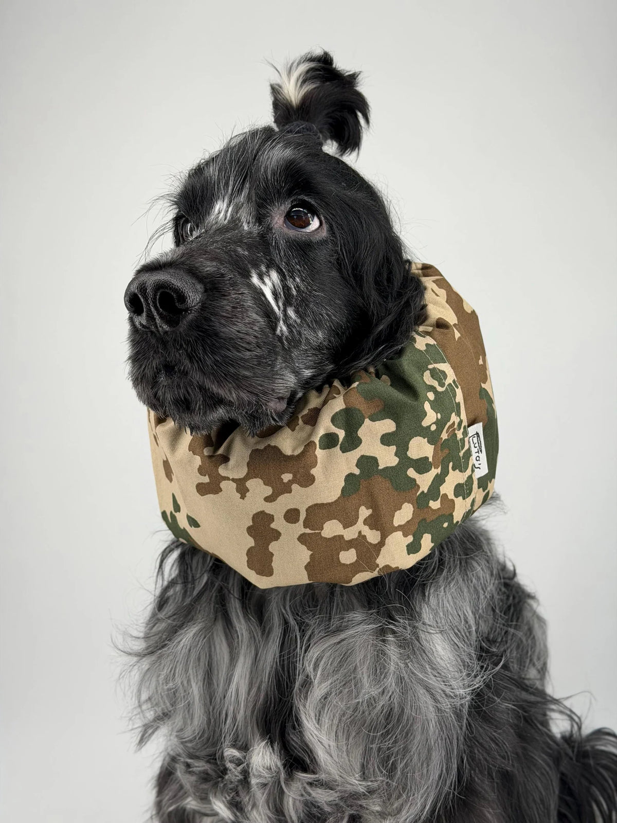 Snood en coton Camouflage