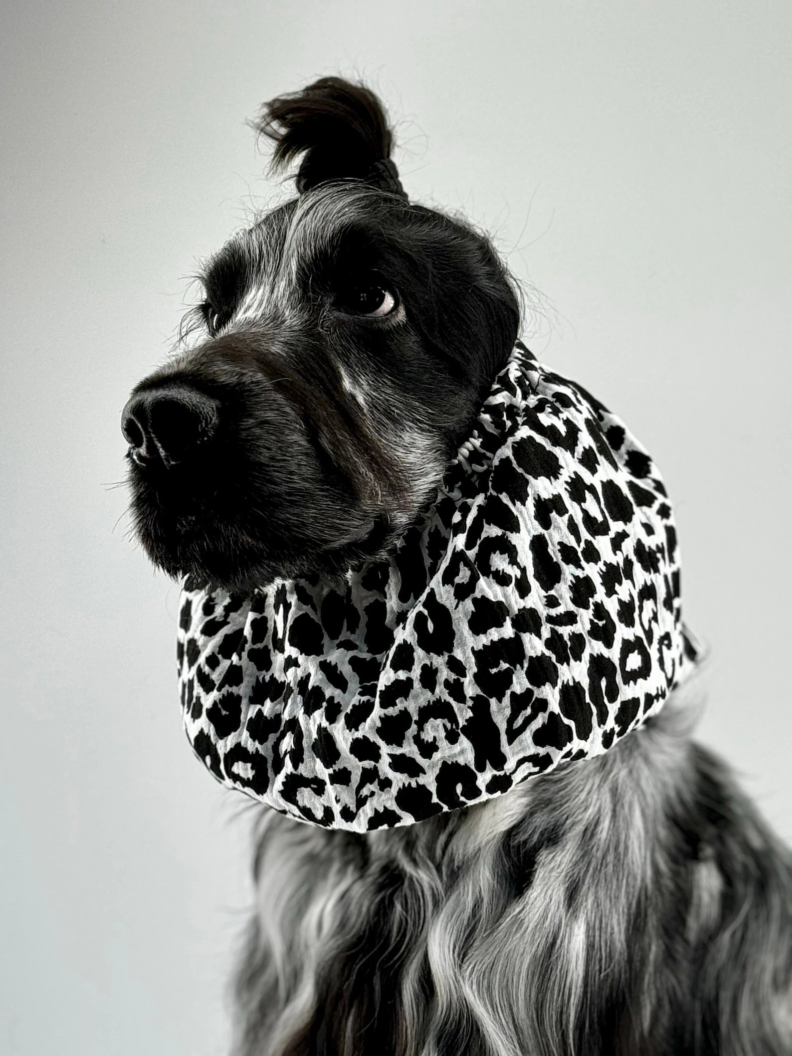 Snood en gaze de coton Léopard