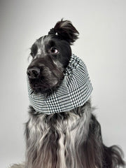 Snood imperméable Prince de Galle