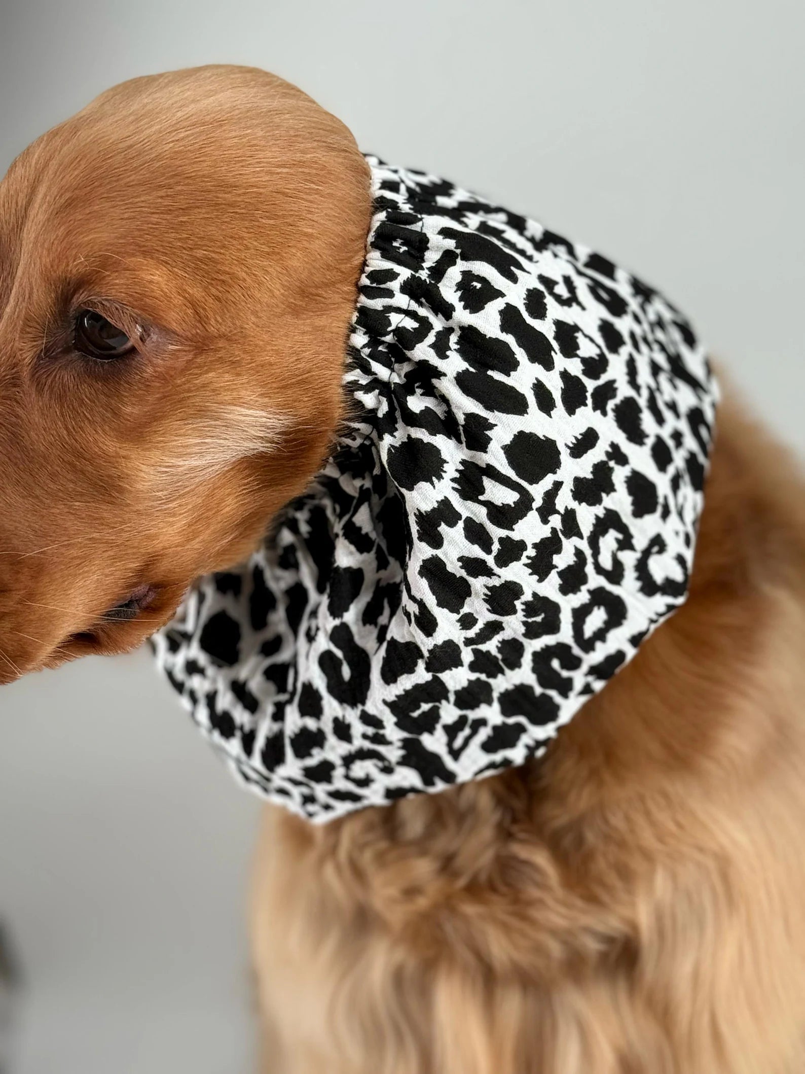 Snood en gaze de coton Léopard