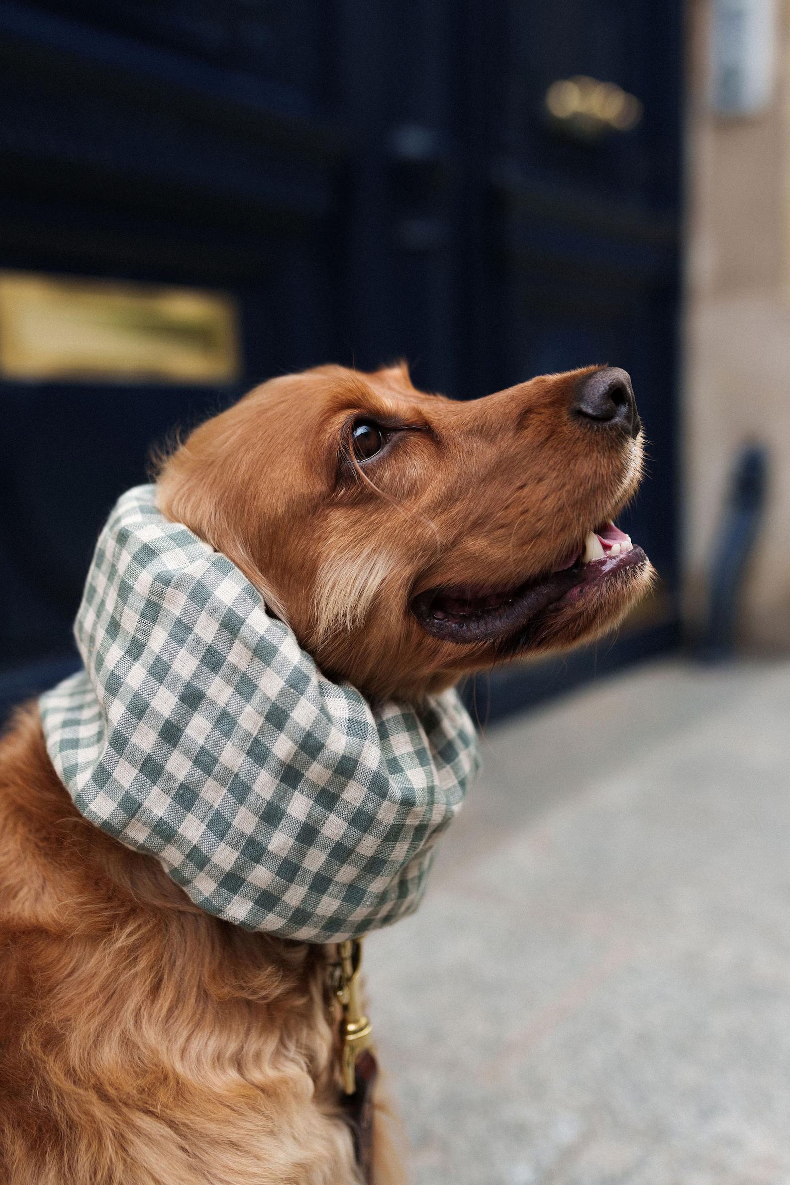 Snood en lin vichy vert