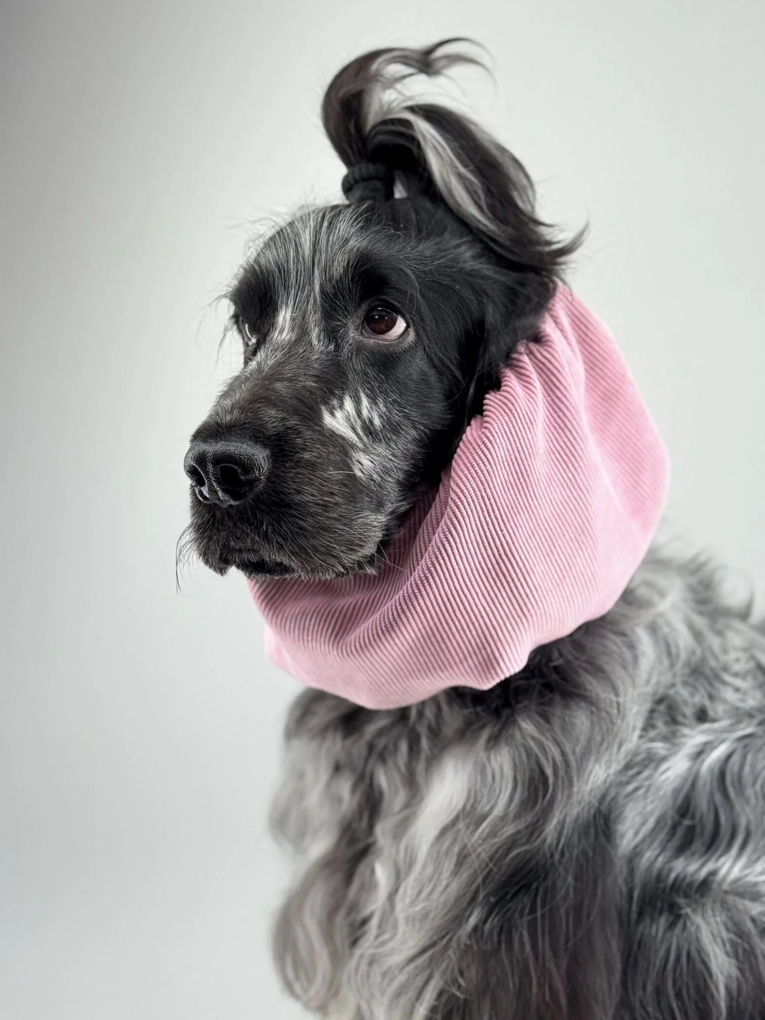 Snood velours côtelé rose