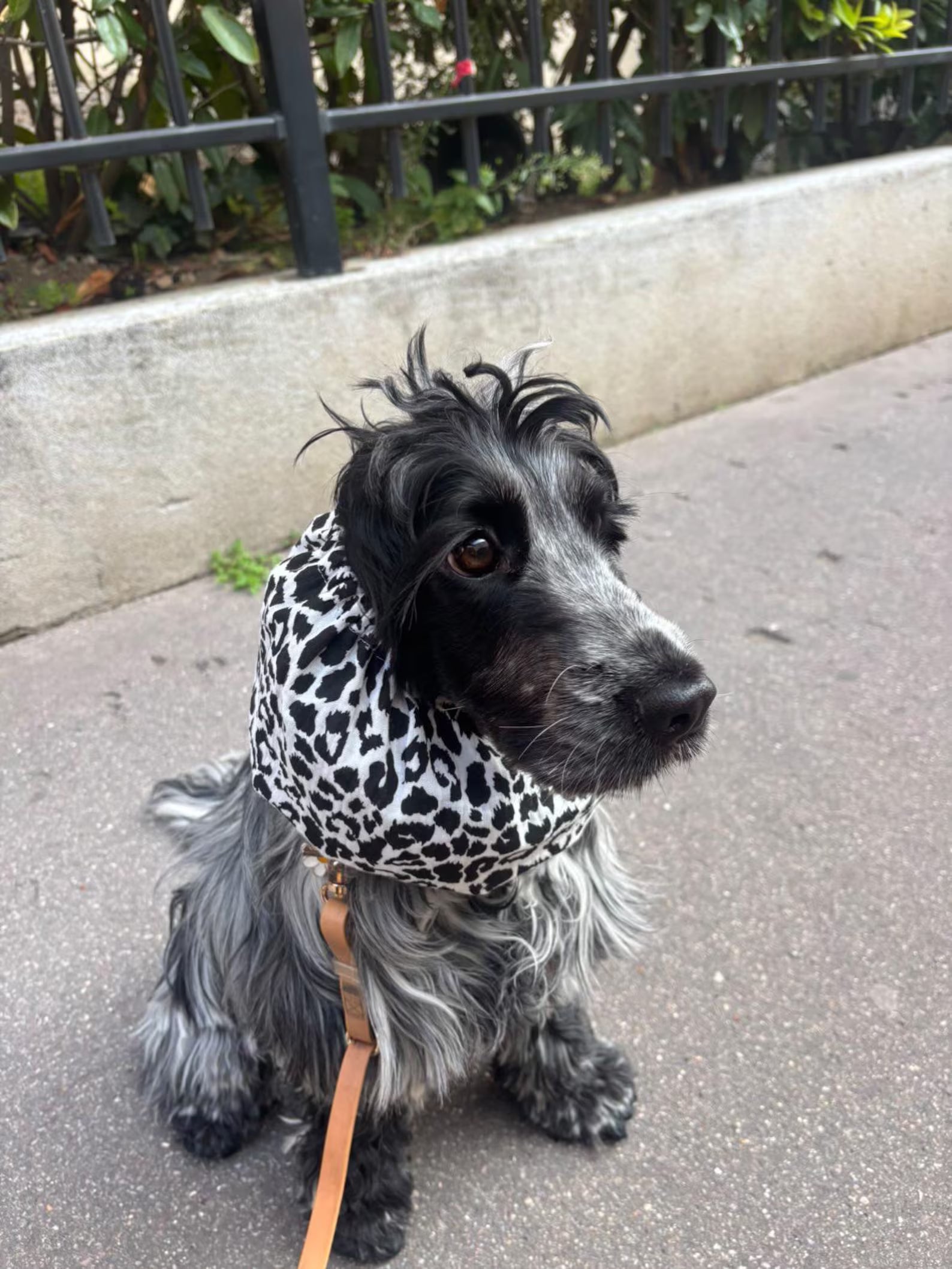 Snood en gaze de coton Léopard