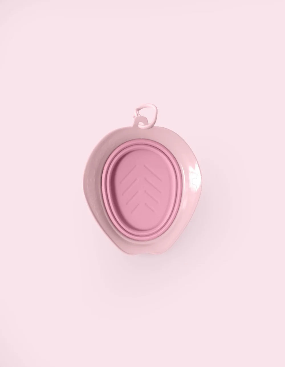 Bol de voyage pliable pour nourriture et eau