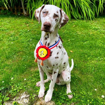 Peluche pour chien Médaille