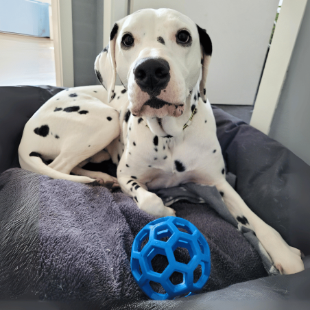 Balle à trous taille Petit