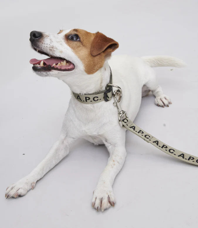 Laisse A.P.C. Toutou à logo