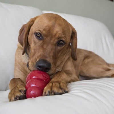 Friandises pâte Stuff'N Beurre de cacahuète