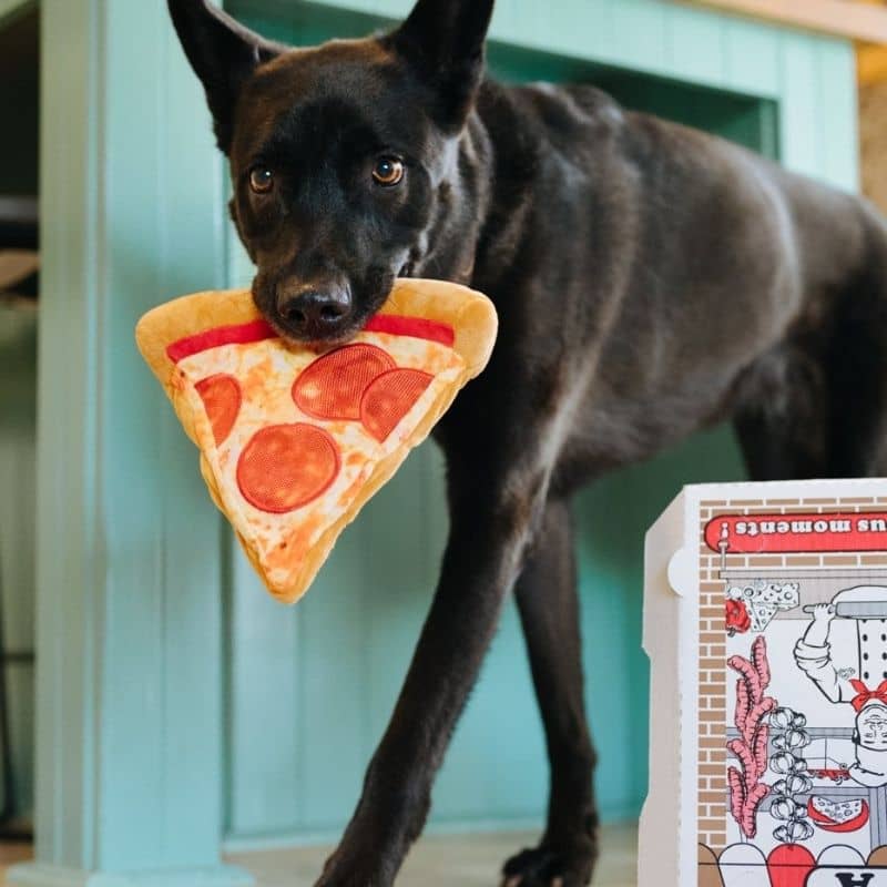 Jouet pour chien  Pizza Puppy-roni