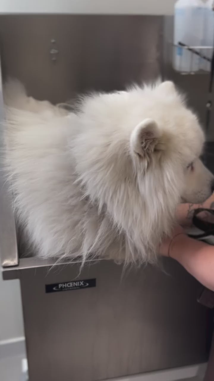 Charger la vidéo : 